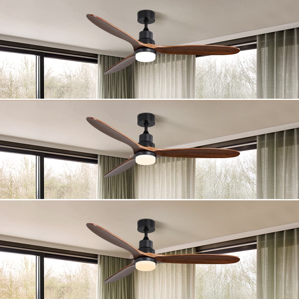 Sunrinx CF-1-DS Ceiling-Fans - View #8