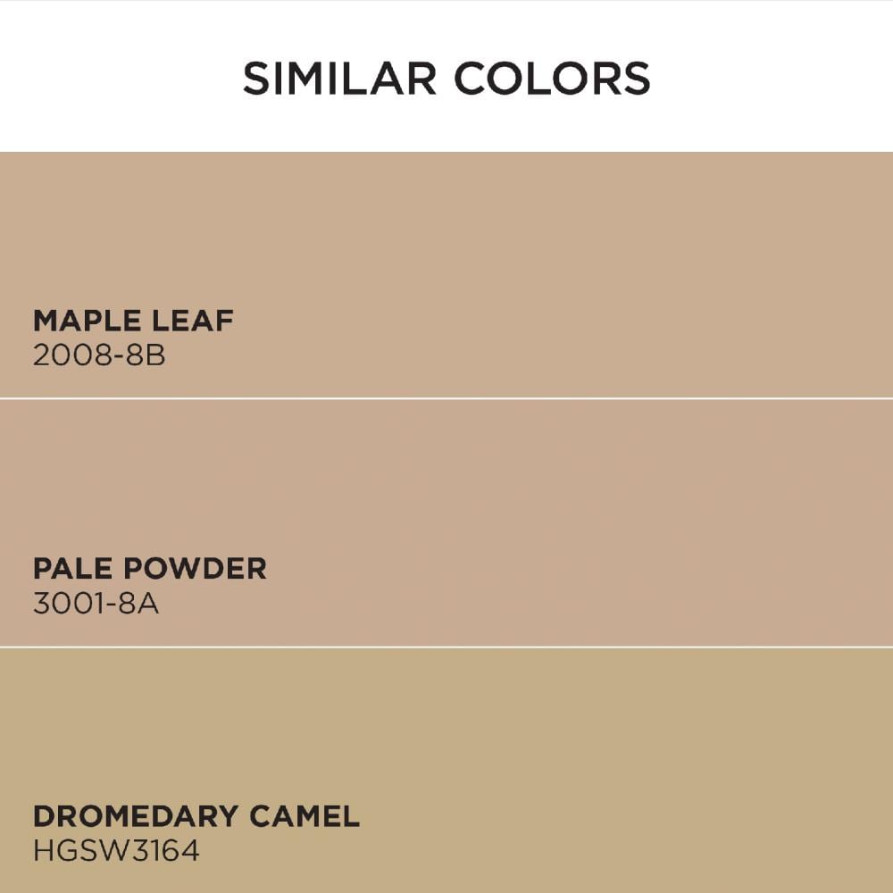HGTV HOME by Sherwin-Williams 3002-10B-2557204 Int-Ext-Paint - View #6