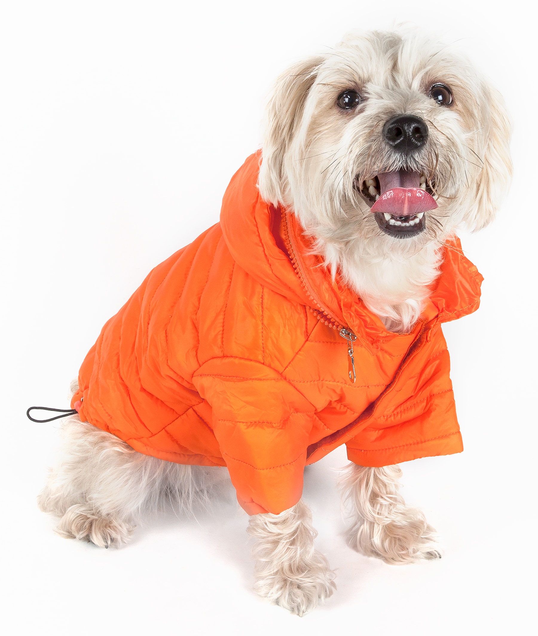 Pet Life Sporty Avalanche Lightweight Adjustable Pet Coat - Orange, Unisex,  Medium Size, Water Resistant, Machine Washable in the Pet Clothing  department at