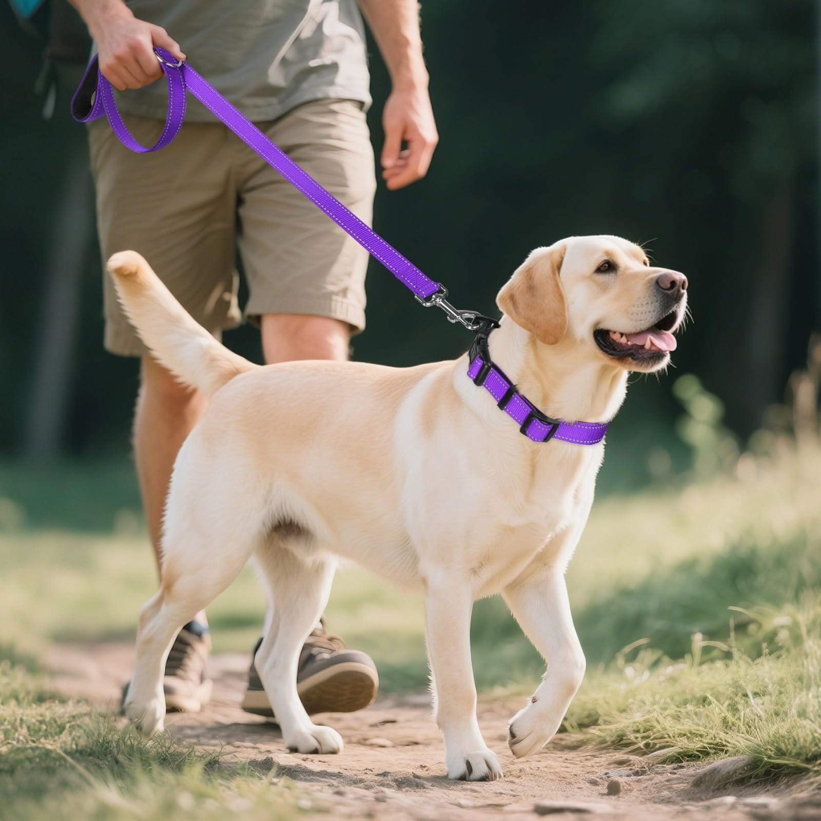 Justincity L05JT07097 Dog-Collars-Harnesses - View #6