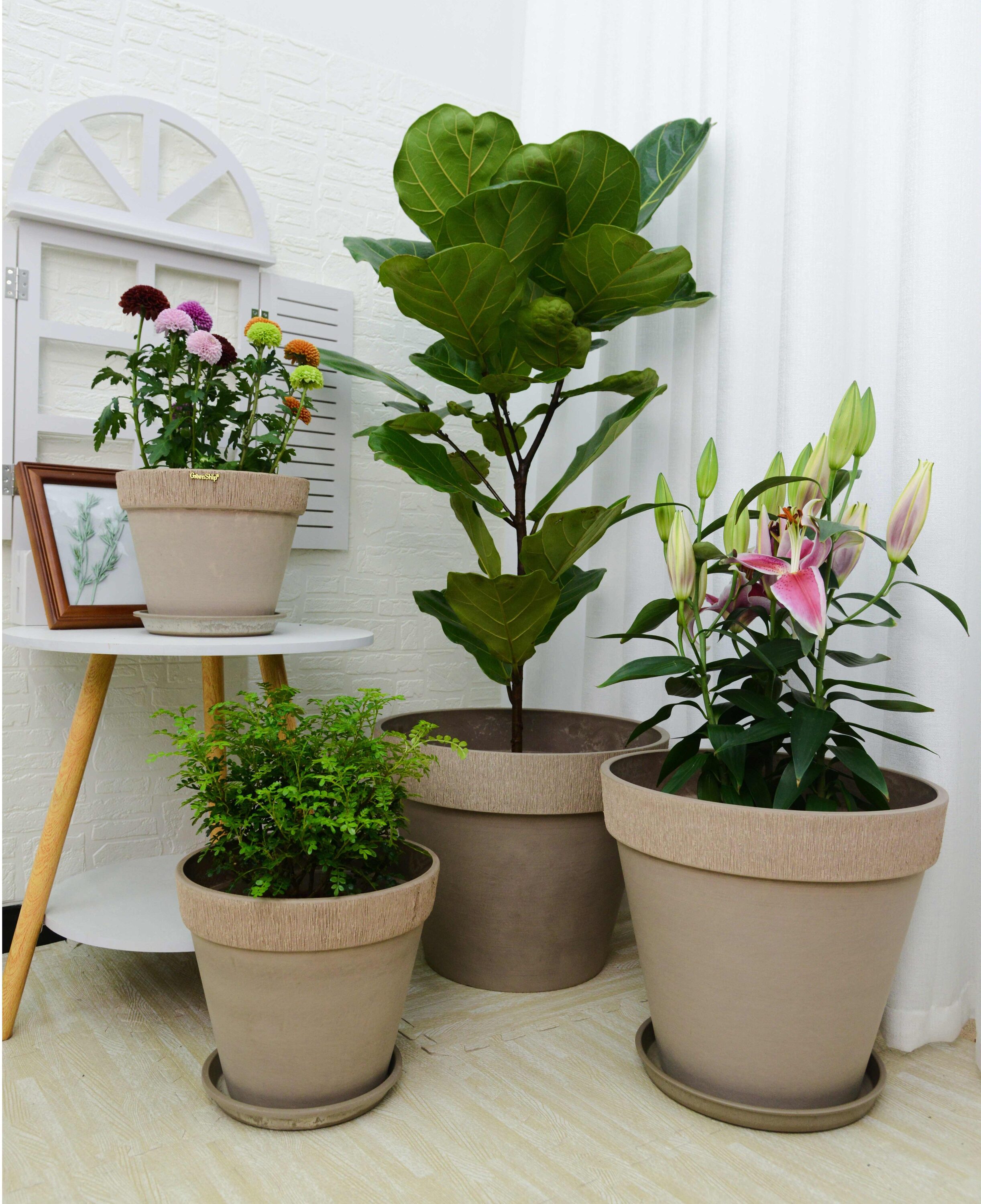 Greenship GB-MM50LG Planter-Window-Box - View #2