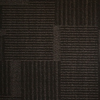 Kraus Sample Home Office Black Onyx Textured Interior Carpet At Lowes Com