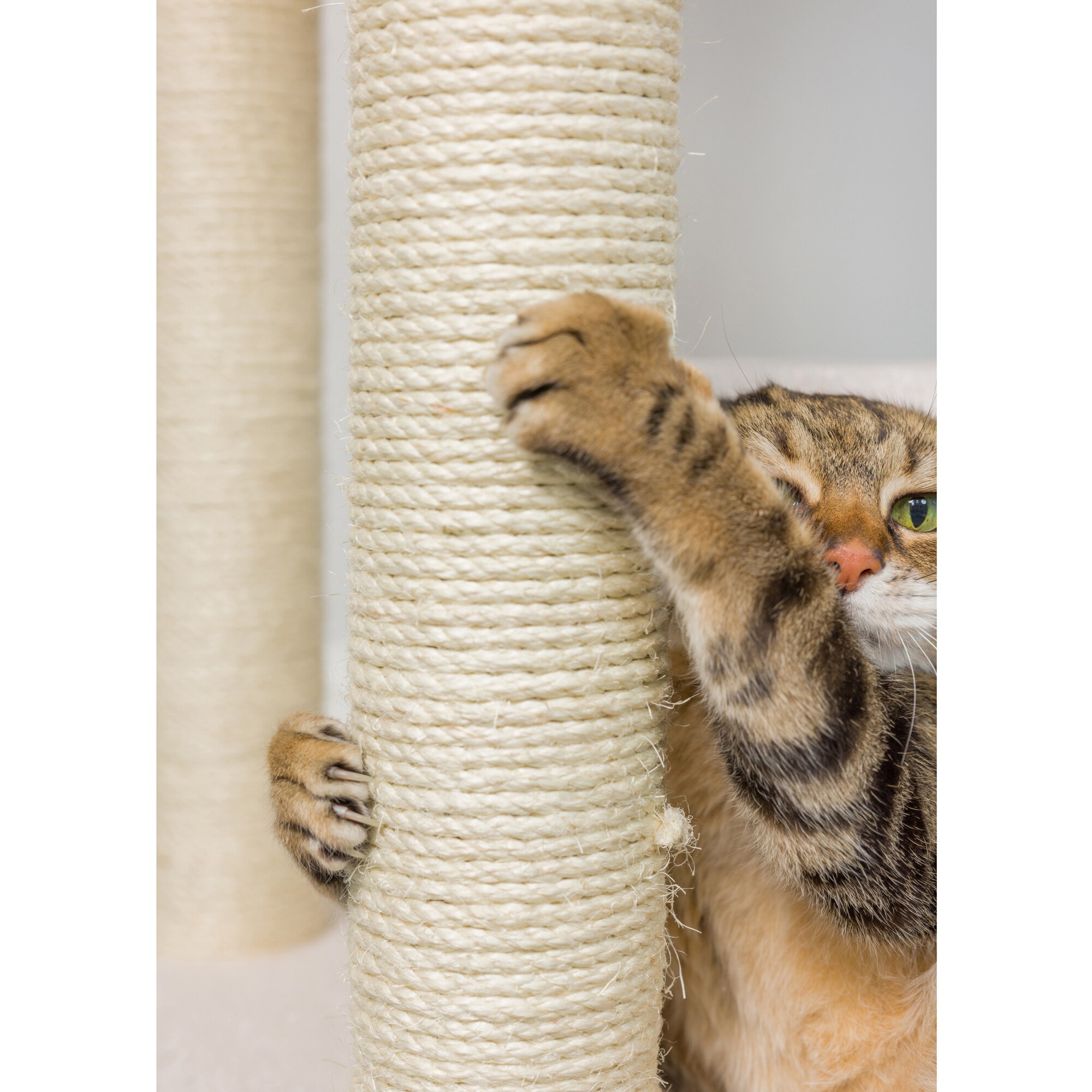 Armarkat B3803 Cat-Trees - View #10