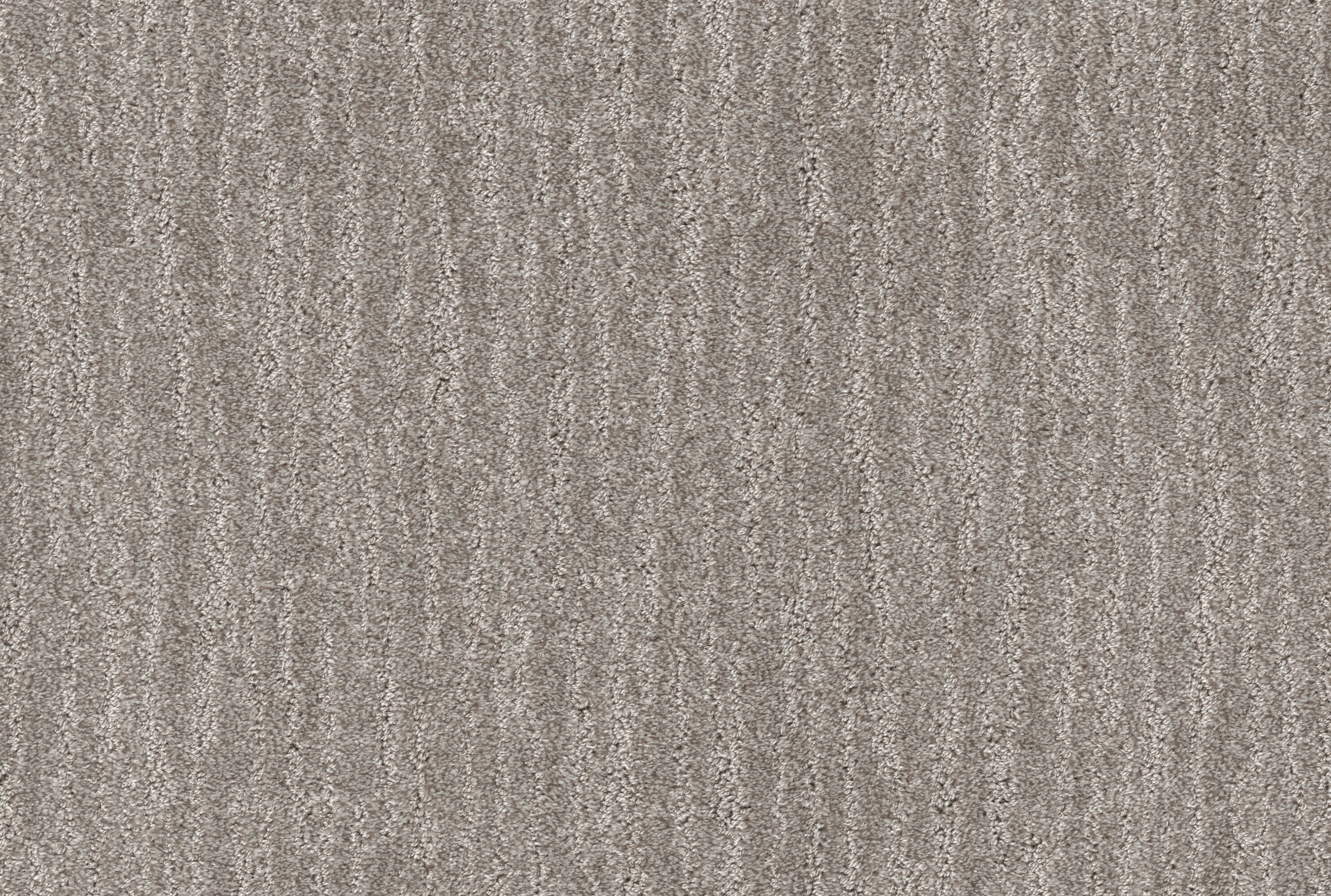 STAINMASTER 7L889 - 104 - SAMP (Sample) Stoic Nature Split Sediment Brown 43.9-oz sq yard Polyester Pattern Indoor Carpet