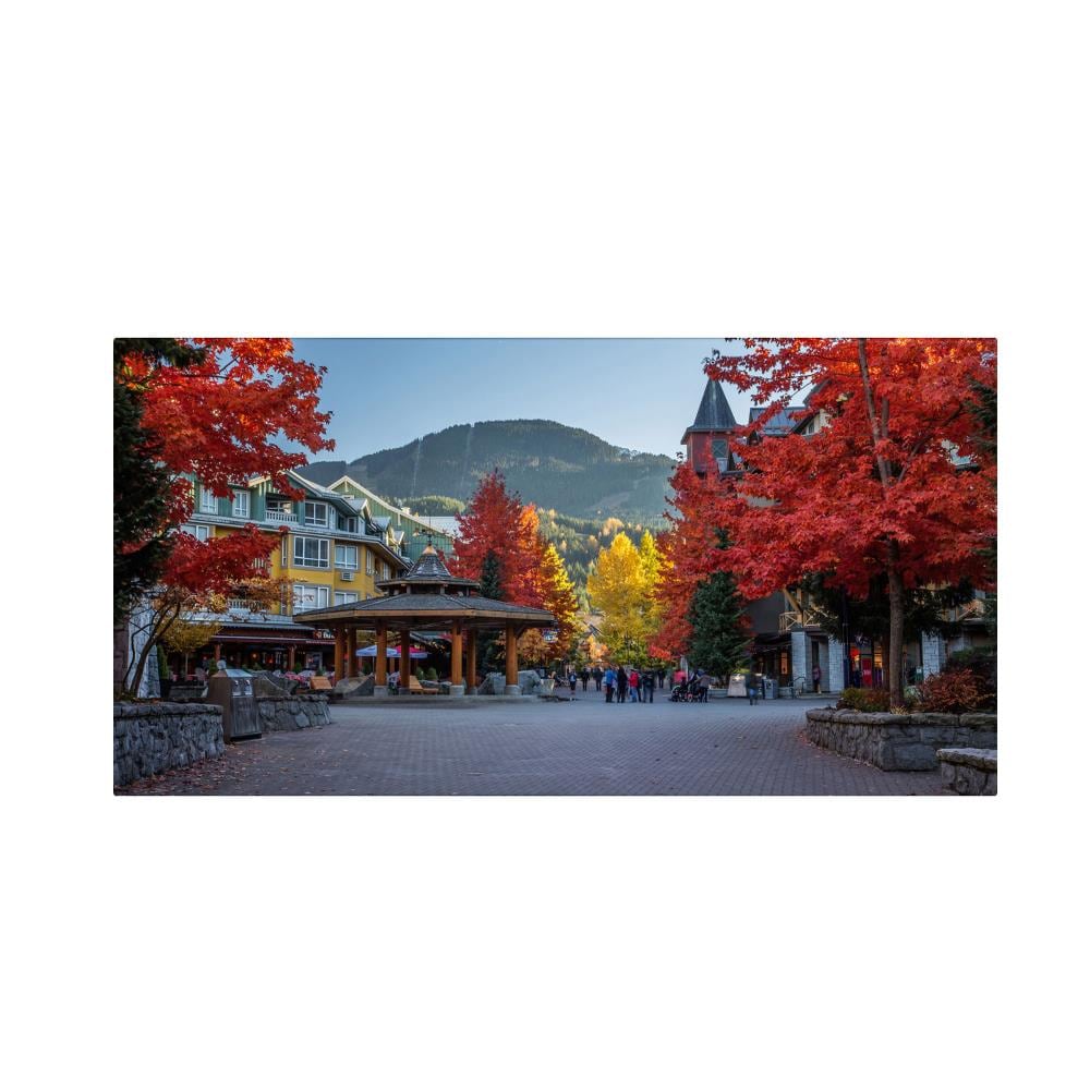 Trademark Fine Art PL0161-C1224GG Framed 12-in H x 24-in W Landscape Print on Canvas