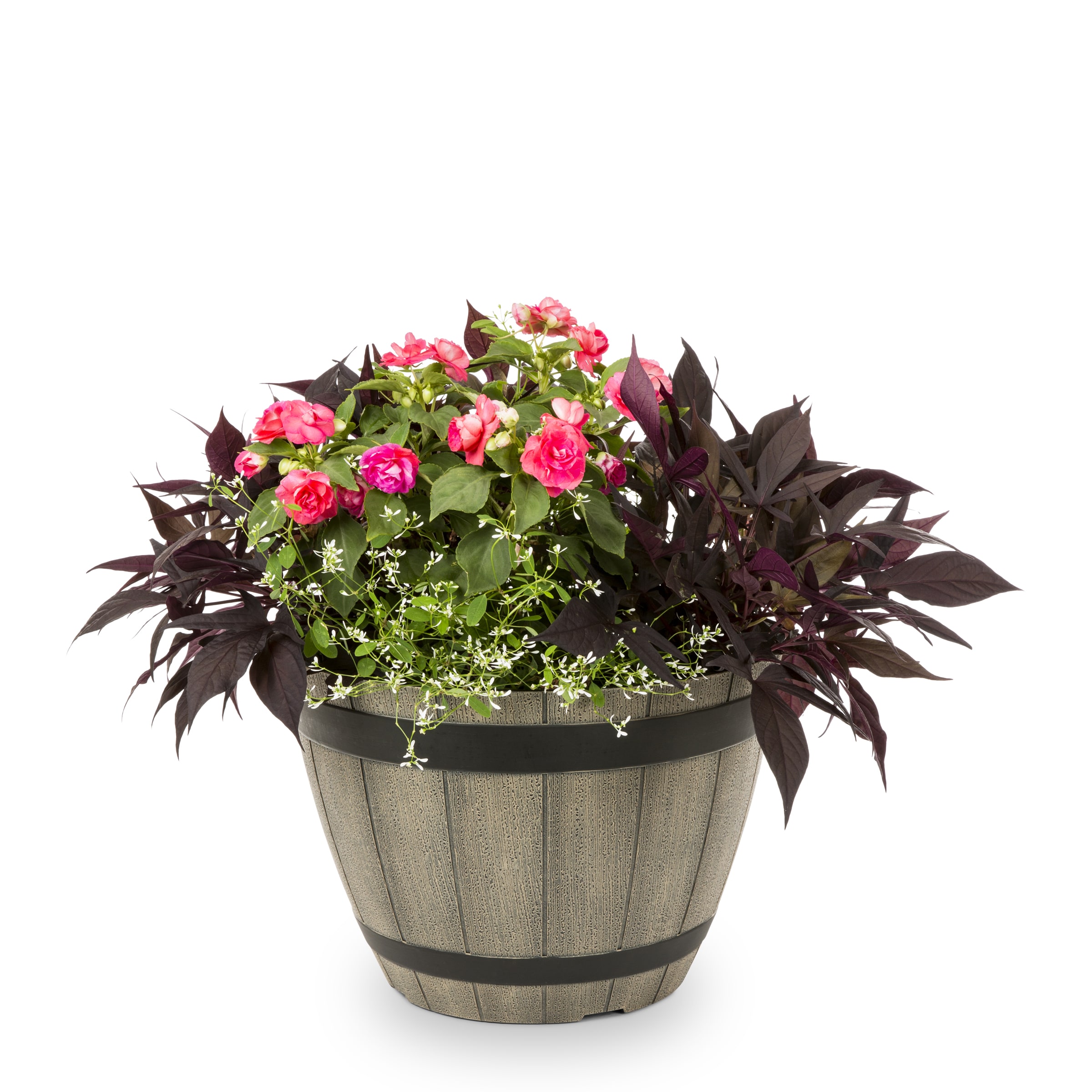 Lowe's NURSERY Multicolor Mixed Annuals Combinations in Gallon(s) Planter