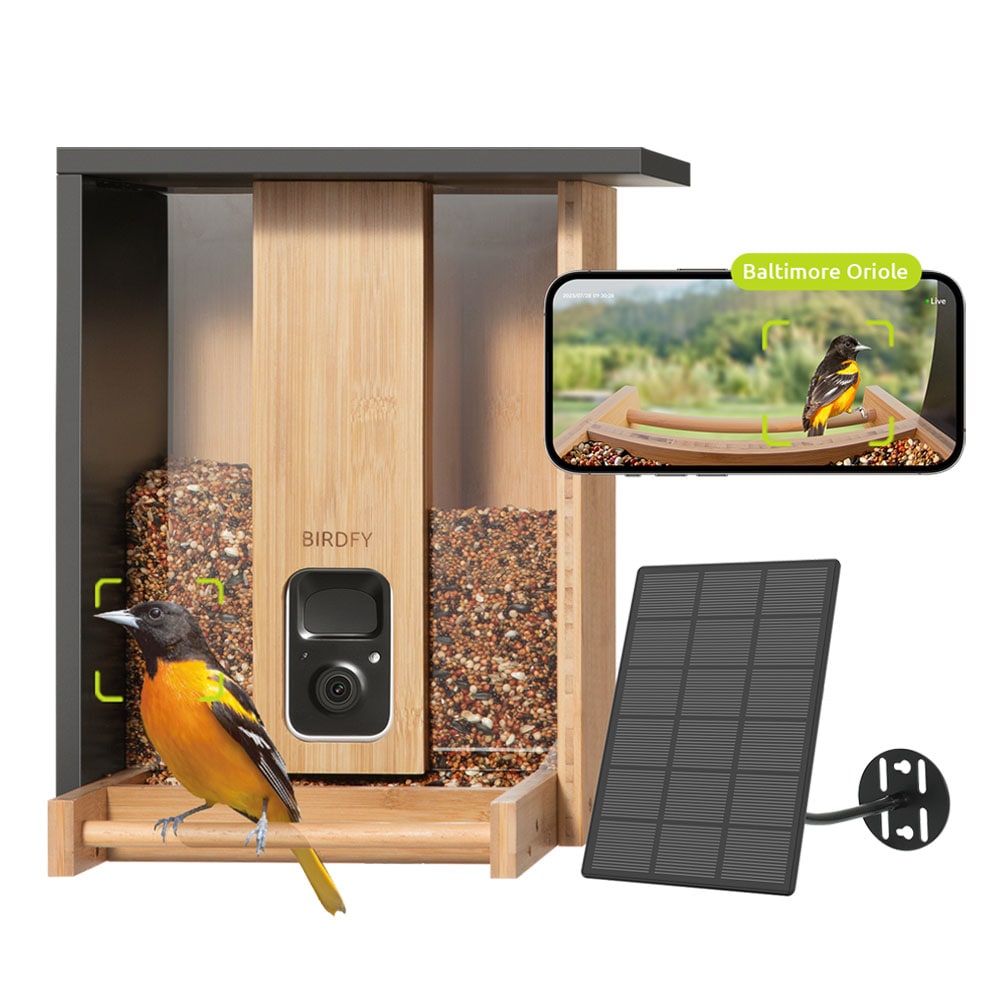 10% Off Birdfy Wood Post-Mount Bird Feeder