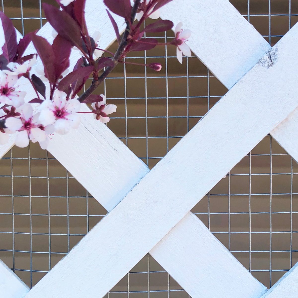 GARDEN CRAFT 133625 Rolled-Fence - View #10