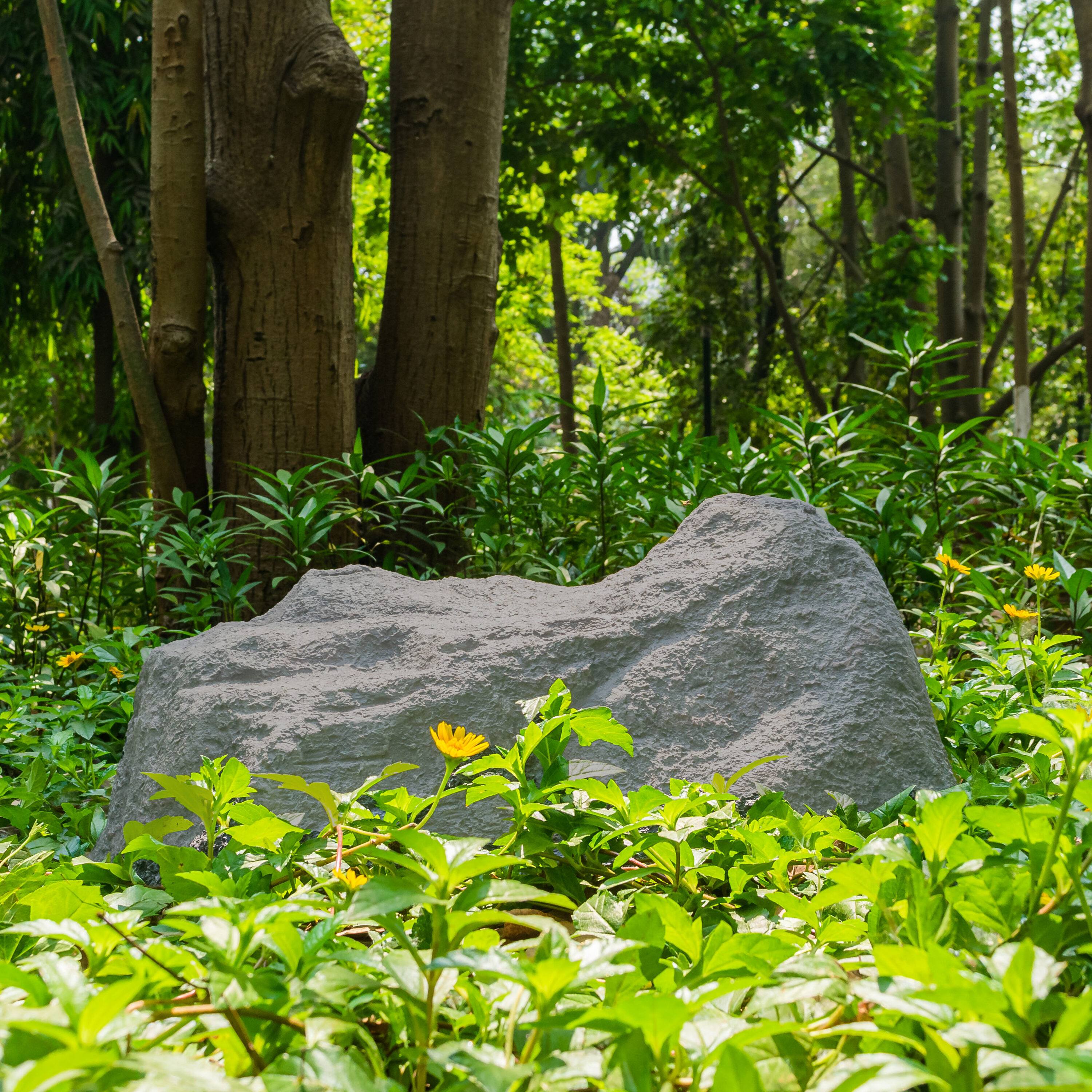 Gardenised QI004481 Landscaping-Rock - View #10