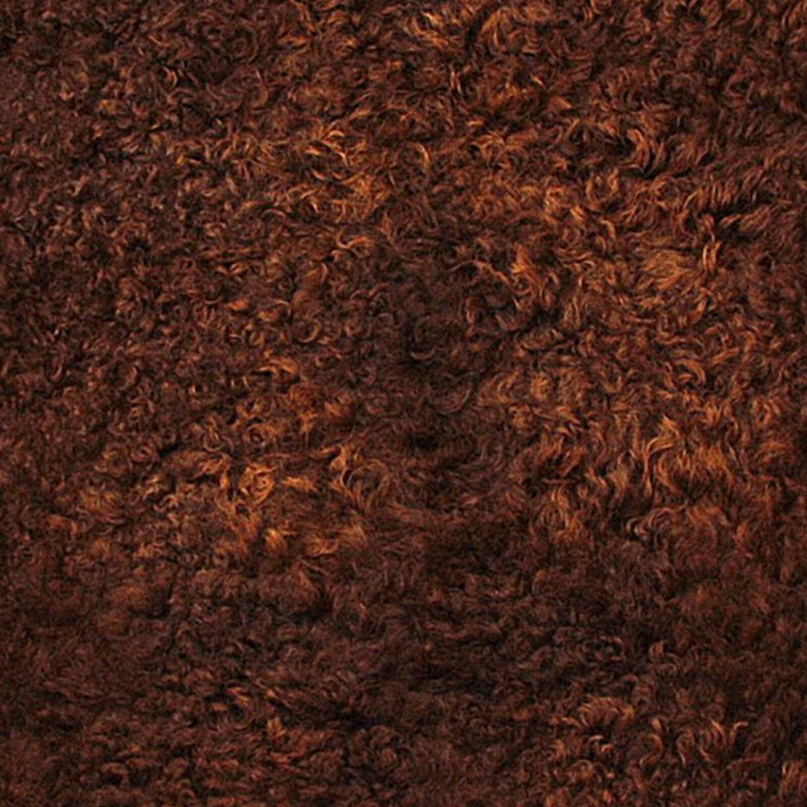 HomeRoots 316963 rugs - View #8