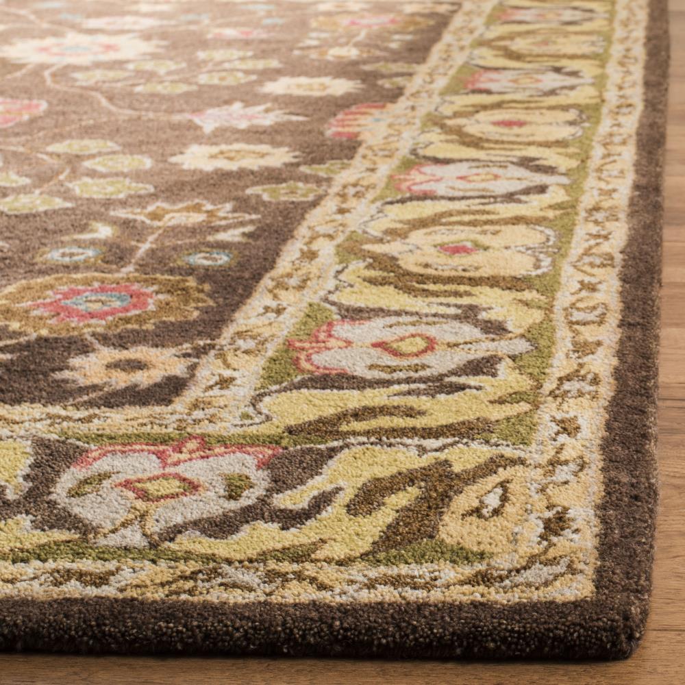 Safavieh AN562A-4 rugs - View #3