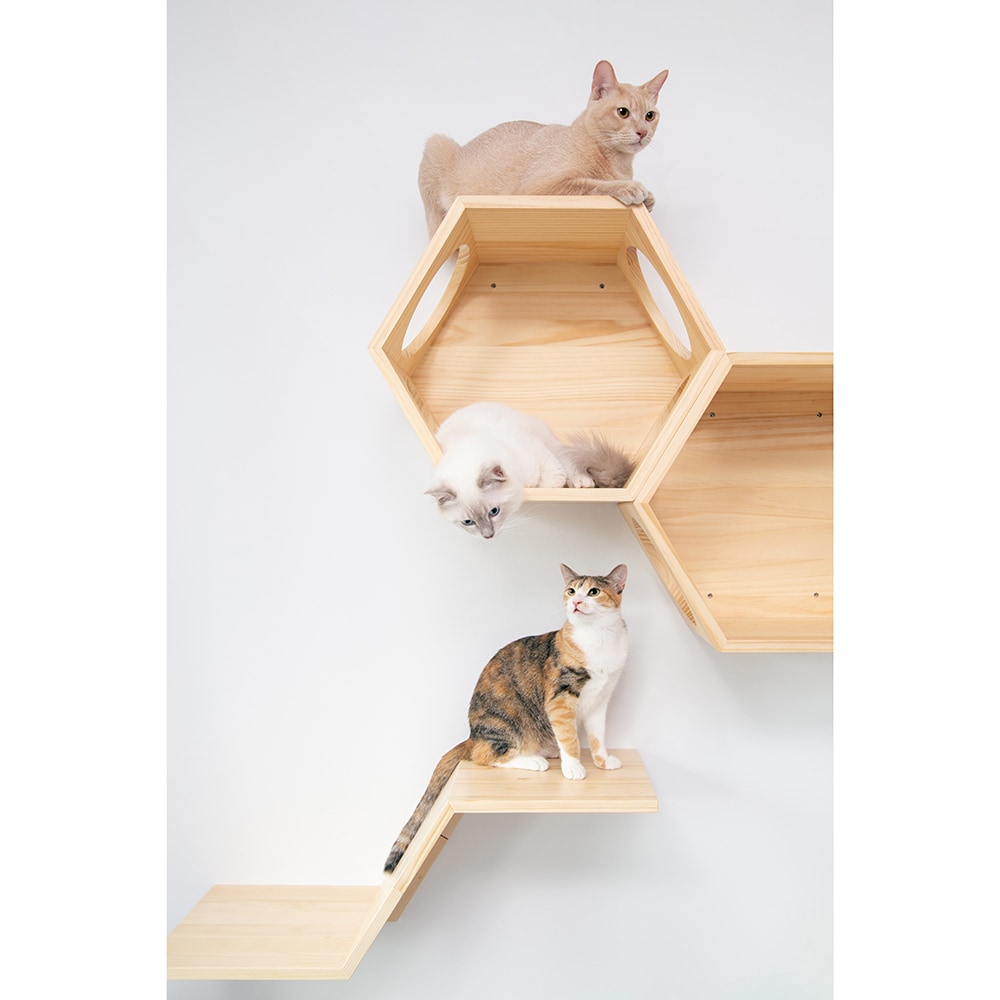 MyZoo MZ-ZONE-L Pet-Steps - View #5