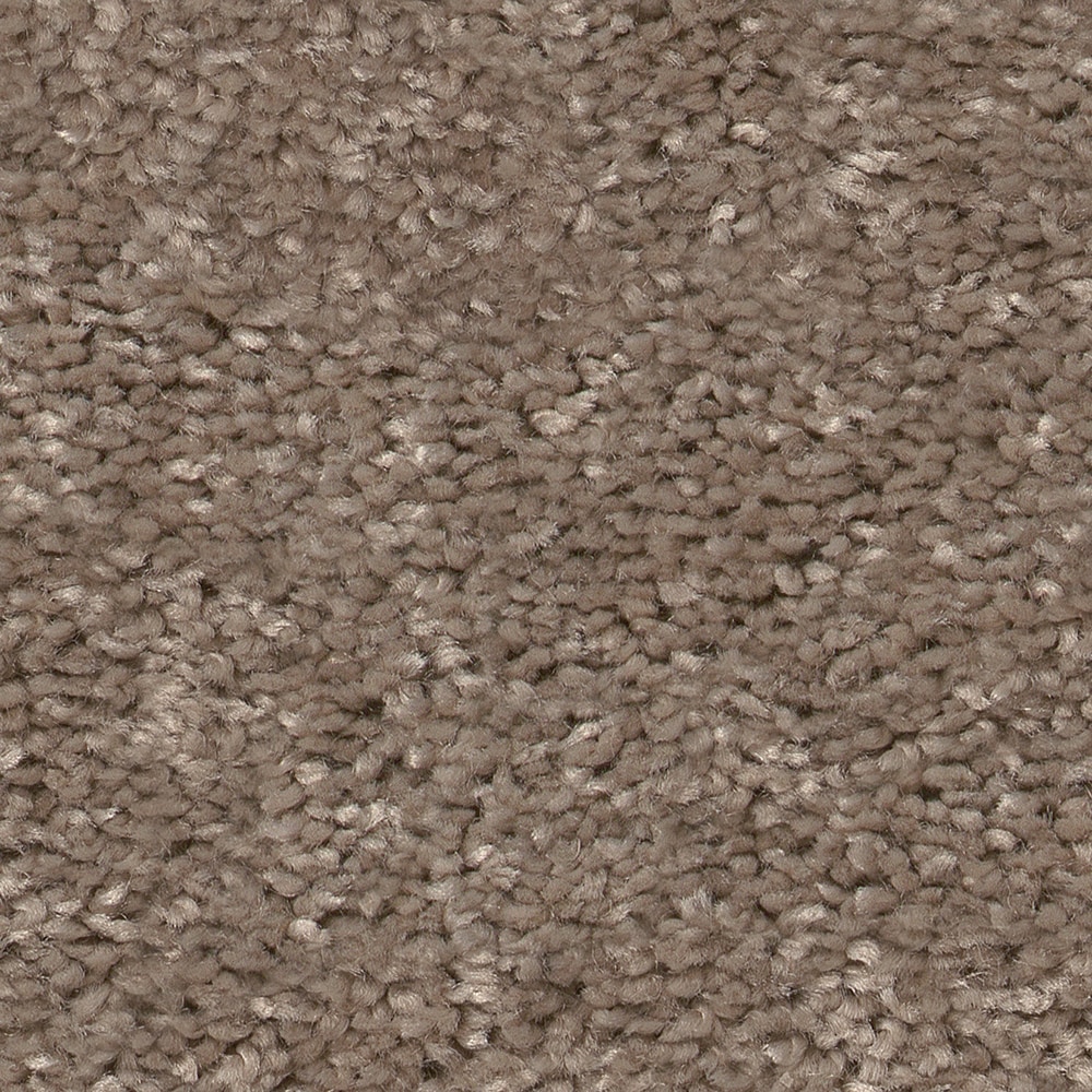 Style Selections 7L84600701 Dialed In I Cedar Key Brown 25-oz sq yard Polyester Textured Indoor Carpet