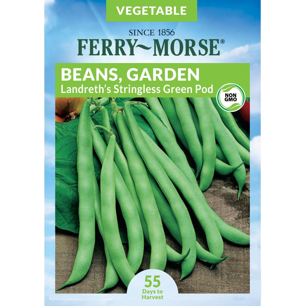 Bean Landreth's Stringless Vegetable Edible Garden at Lowes.com