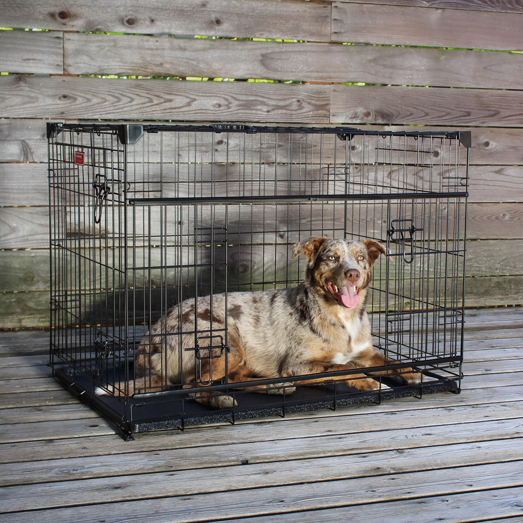 Lucky Dog ZW 51536 Pet-Crates-Carriers - View #10