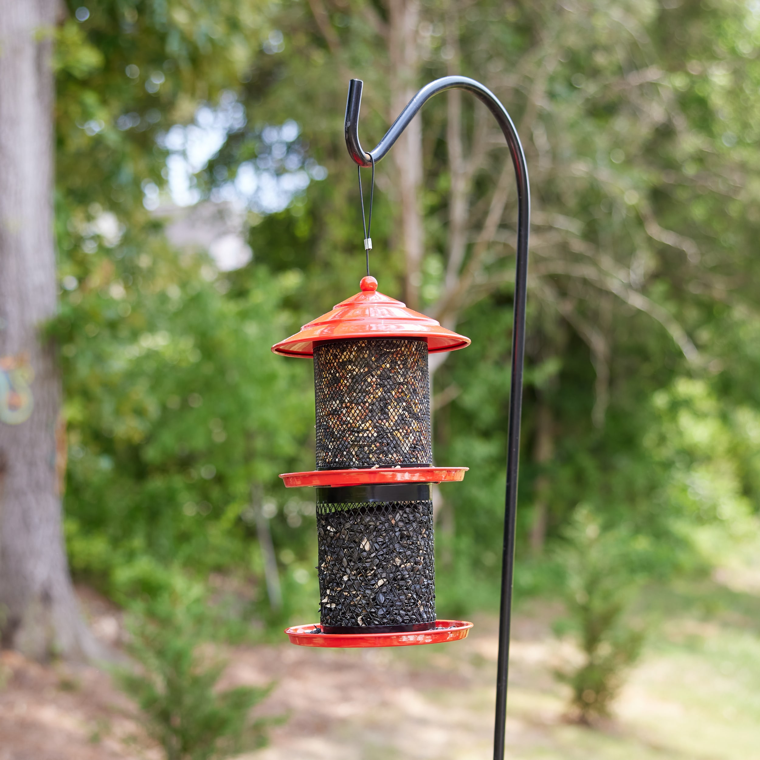 Style Selections Red Steel Hanging Tube Bird Feeder- 1.3-lb Capacity in the Bird  Feeders department at
