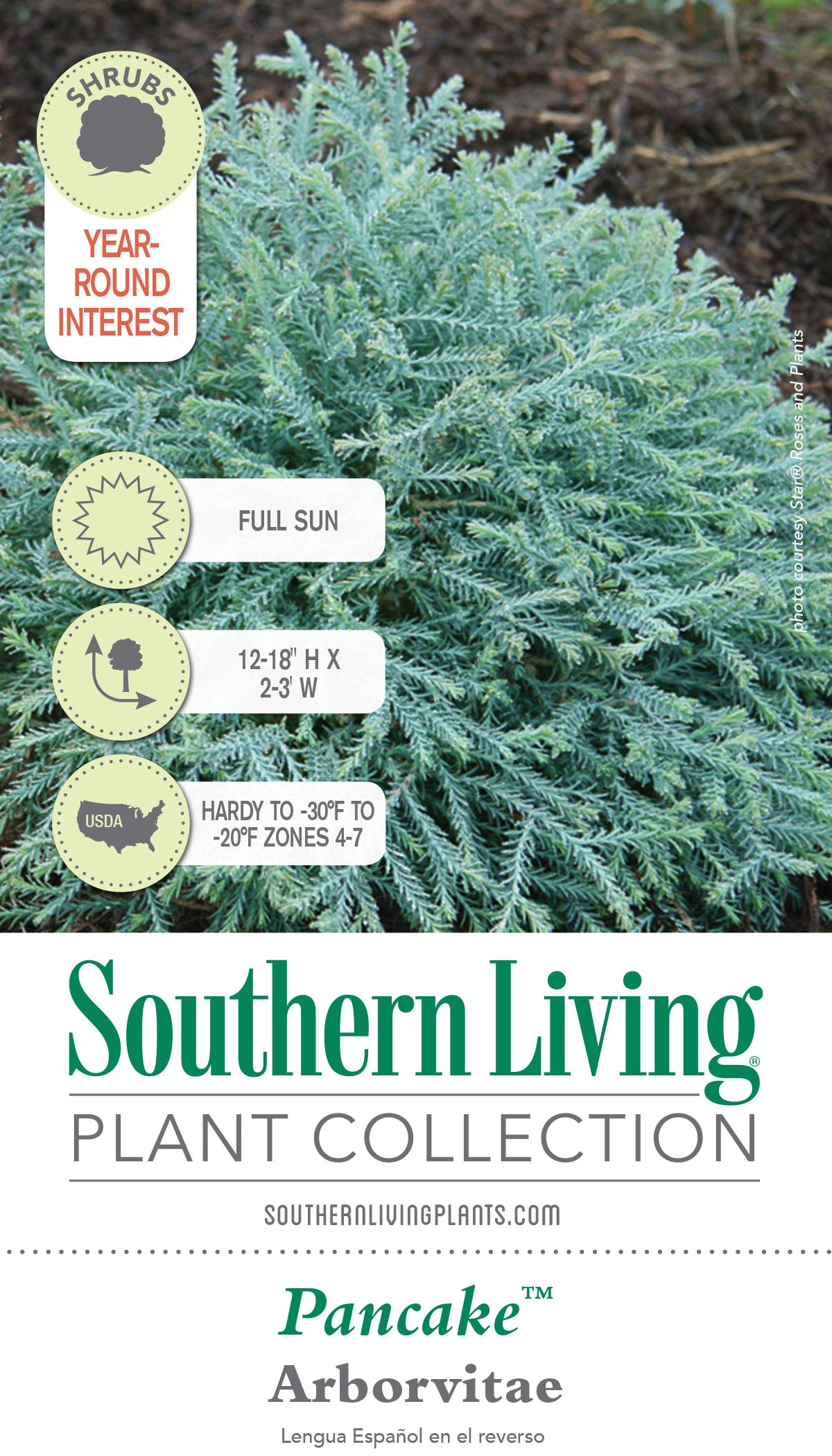 Southern Living Plant Collection 5538Q-1 shrubs - View #10