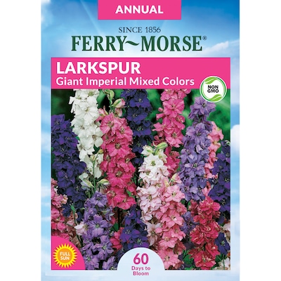 Larkspur Giant Imperial Mixed Colors Flower Plants, Bulbs & Seeds Near ...
