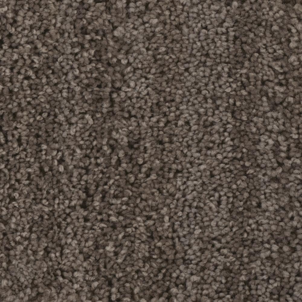 STAINMASTER S7248-110-1200-AB (Sample) LiveWell Easy Going Courteous Multi-Colored 48-oz sq yard Nylon Textured Indoor Carpet