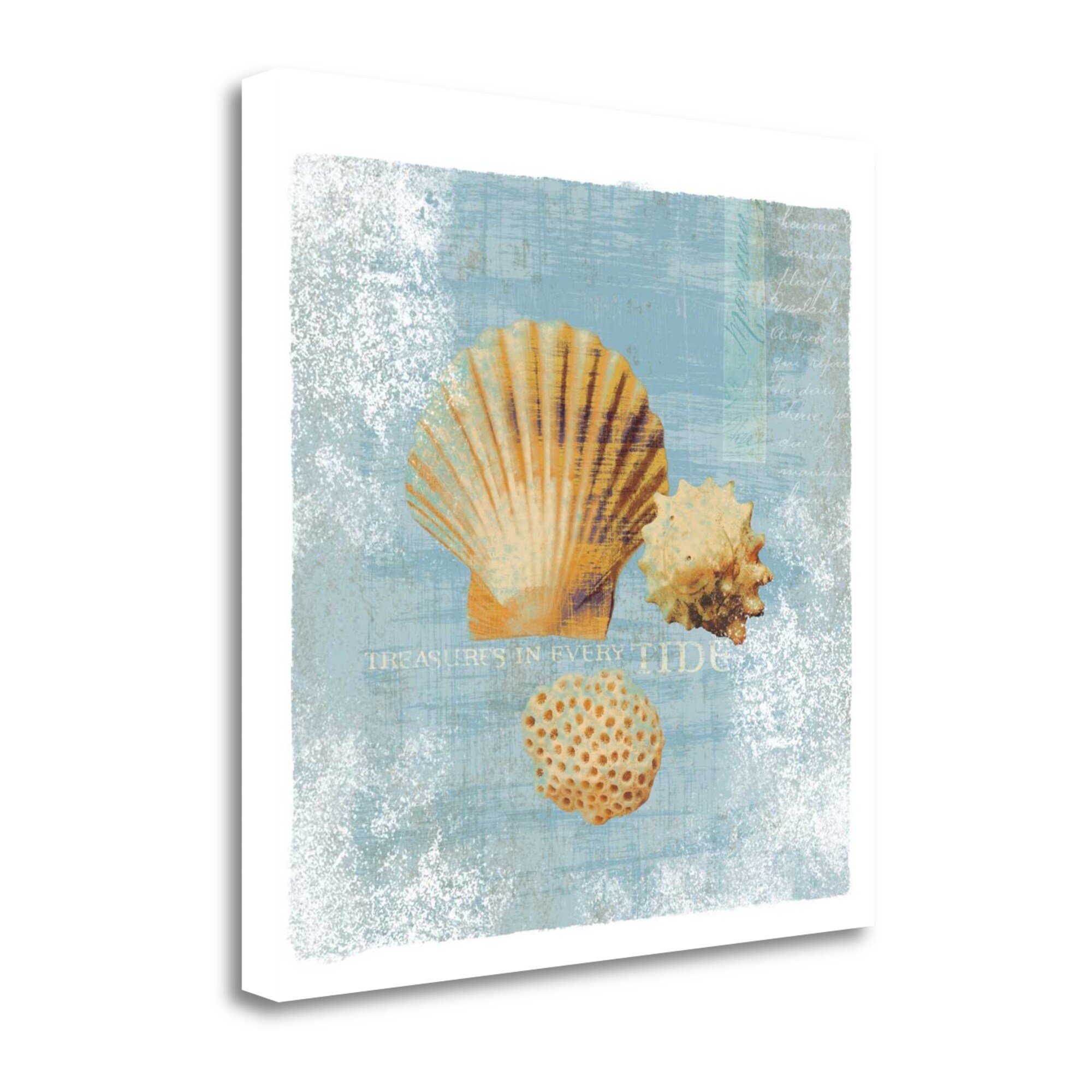 Tangletown Fine Art WA603354-2323C Tidal Treasures- Wag Wild Apple Portfolio 23-in H x 23-in W Animals Print on Canvas
