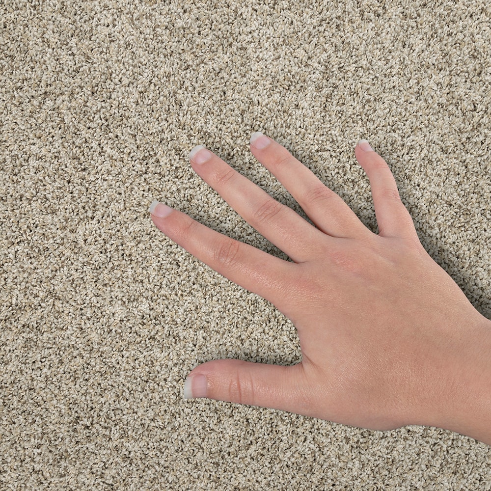 STAINMASTER SS040-L003-S0808 Carpet-Samples - View #4