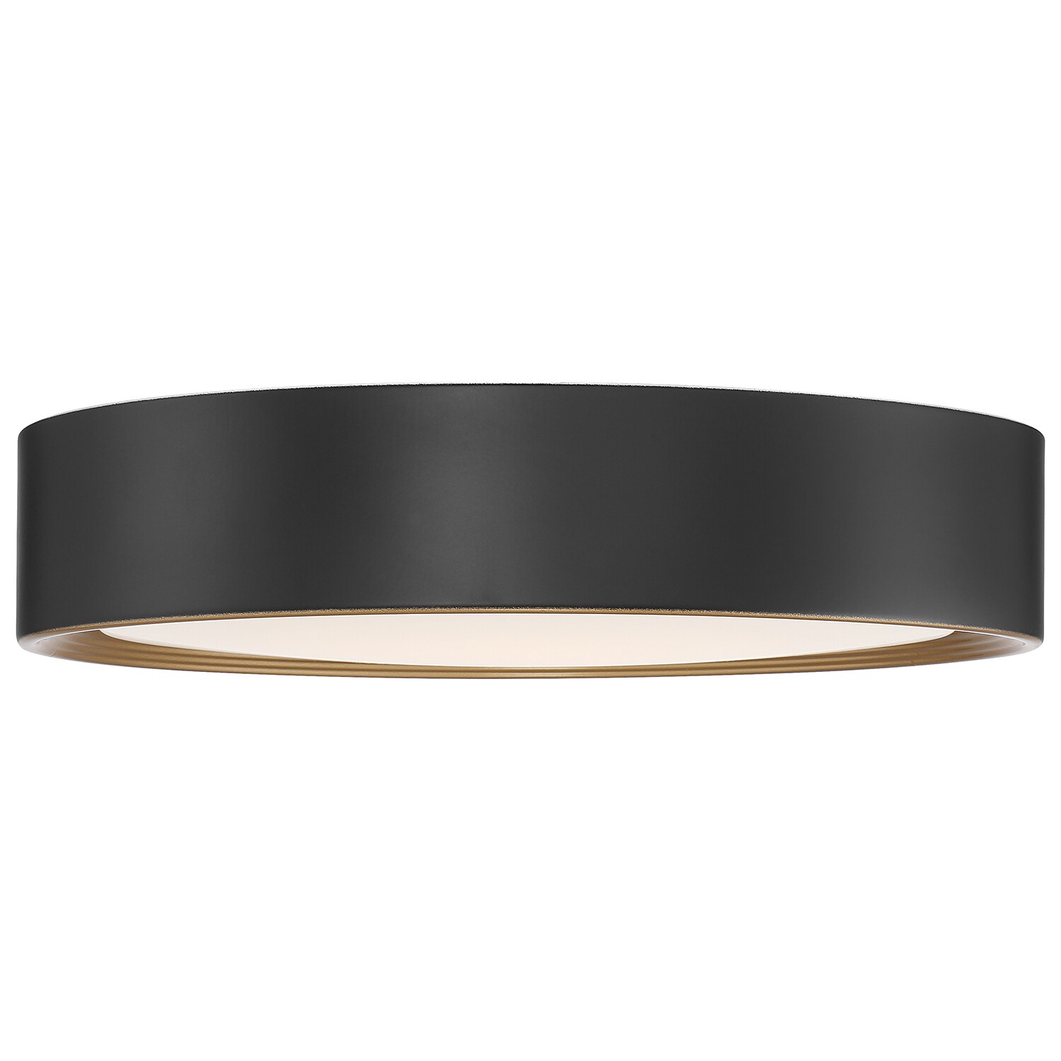 Access Lighting 49970LEDDLP-MBL/ACR flushmounts - View #6