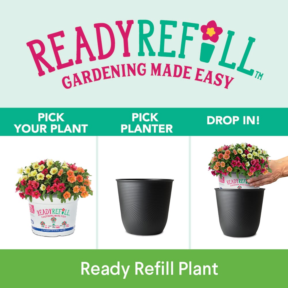 Style Selections RT1959M-BLACK Planter-Window-Box - View #4