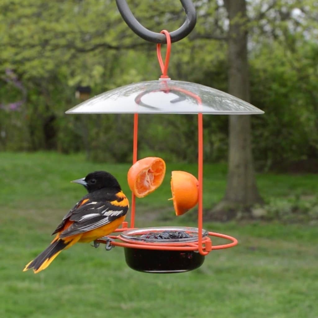 Nature's Way OFM1-CP1 Bird-Feeders - View #2