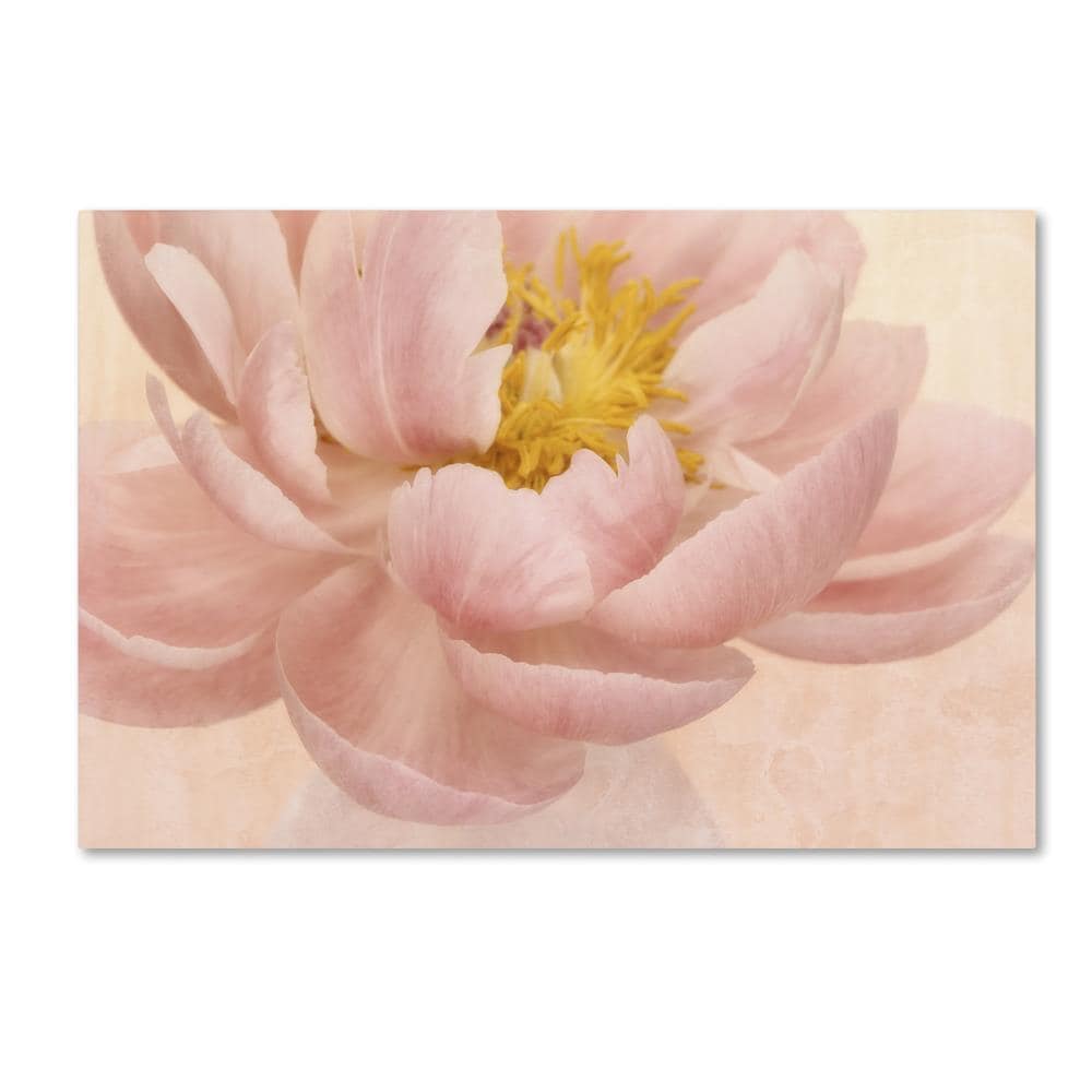Trademark Fine Art ALI1869-C1219GG Wall-Art - View #2