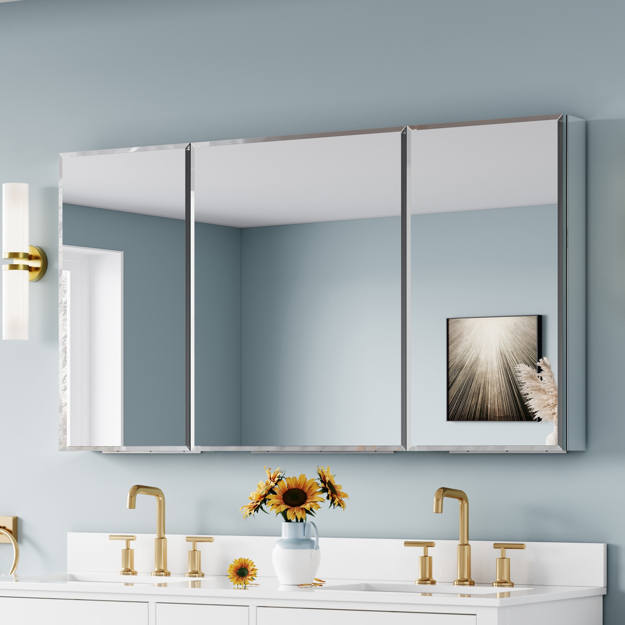 ANGELES HOME  56-in x 30-in Surface/Recessed Mount Aluminum Modular Rectangle Soft Close Medicine Cabinet