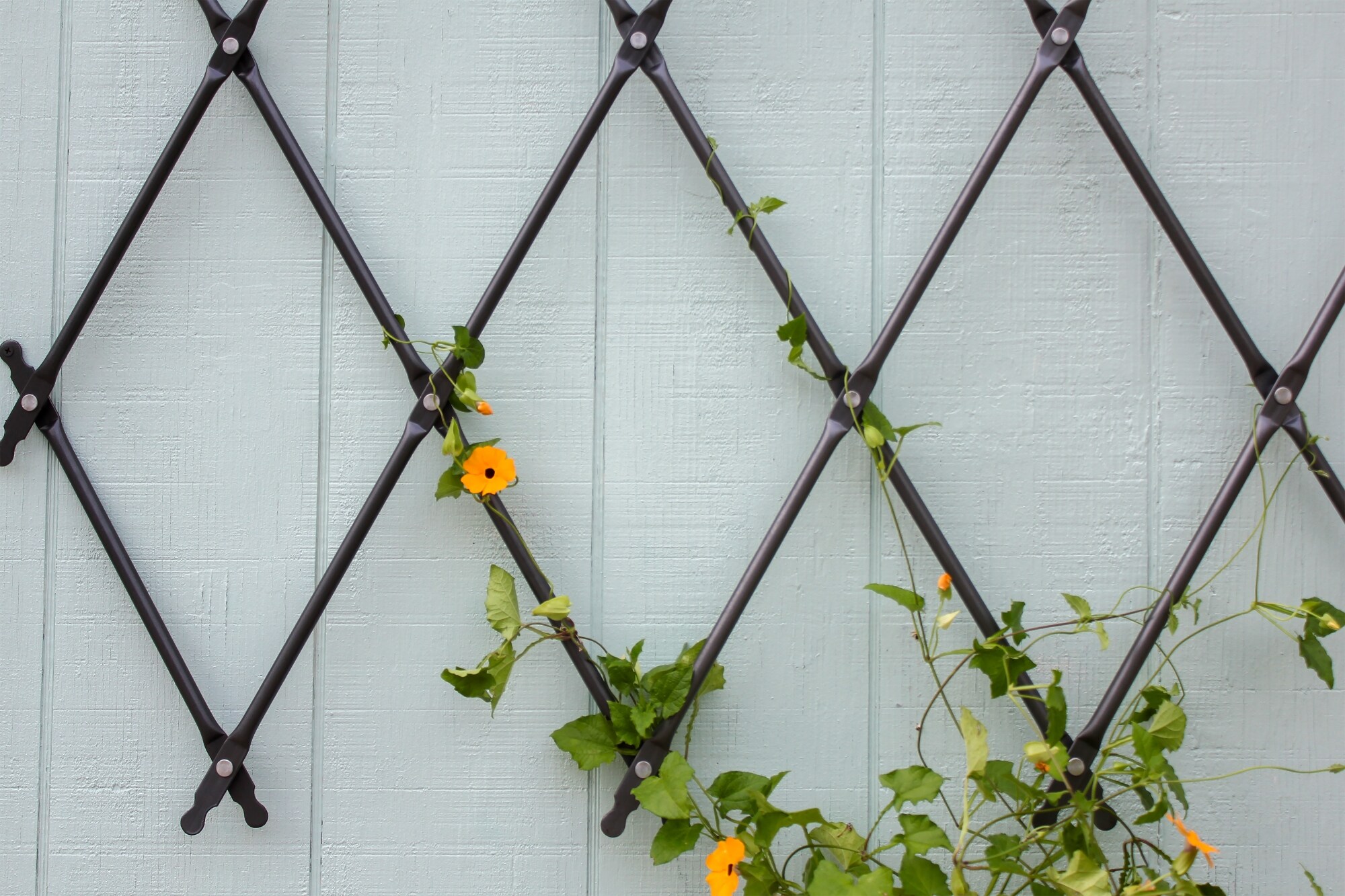 ACHLA Designs 110-1016 Garden-Trellis - View #3