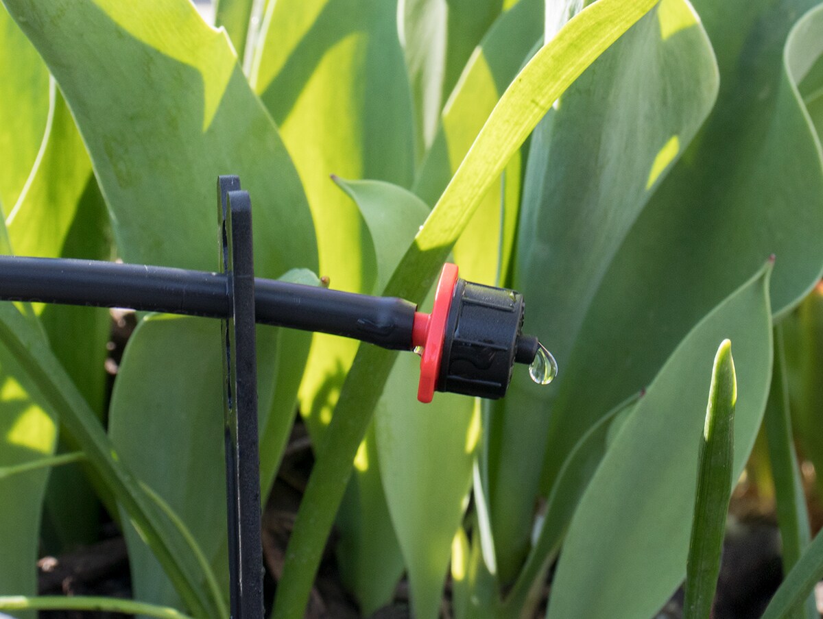 Orbit 0.5 Gph Drip Irrigation Dripper (Pack Of- 10) in the Drip ...