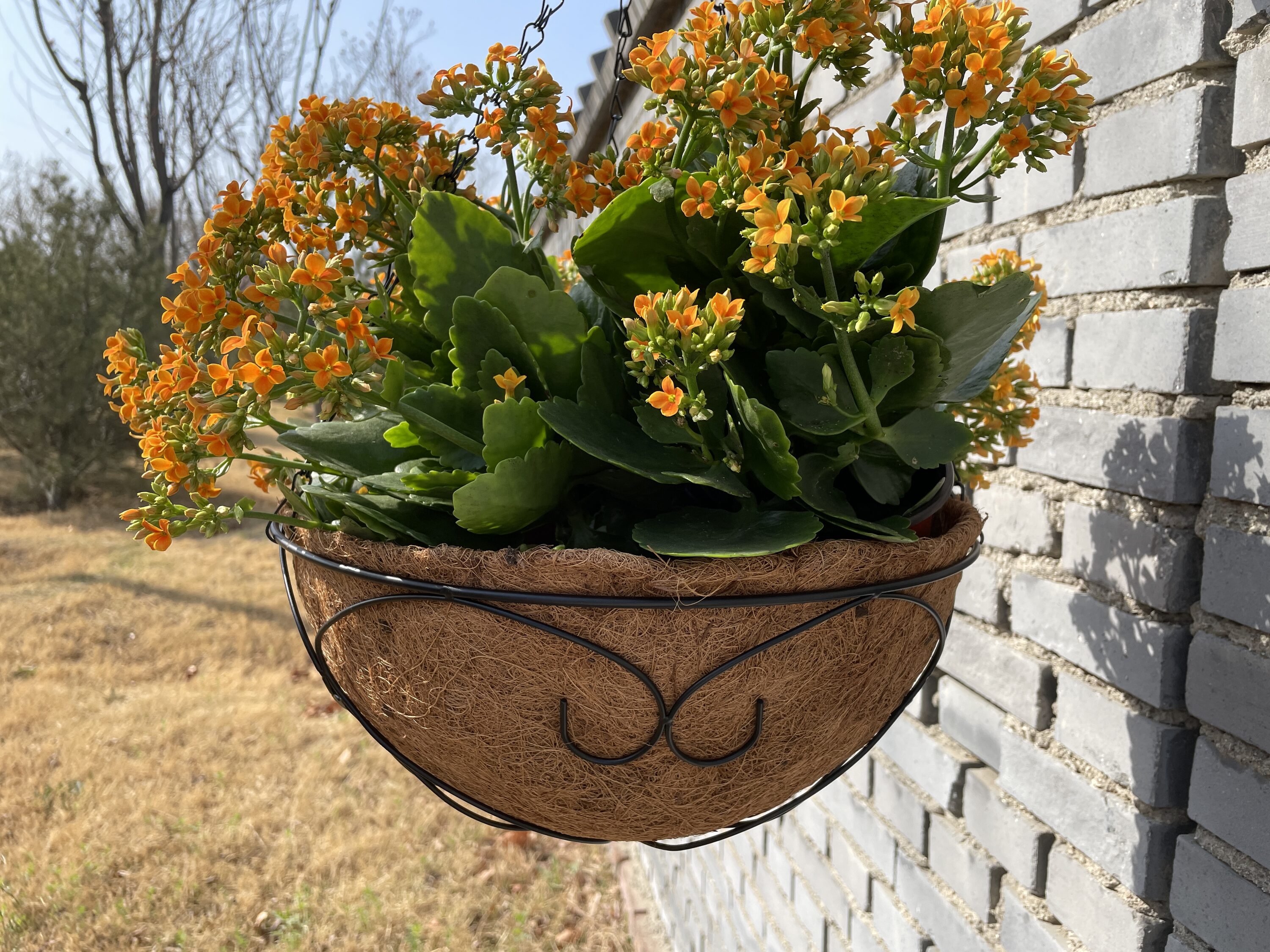 Style Selections LWP033 Planter-Window-Box - View #5