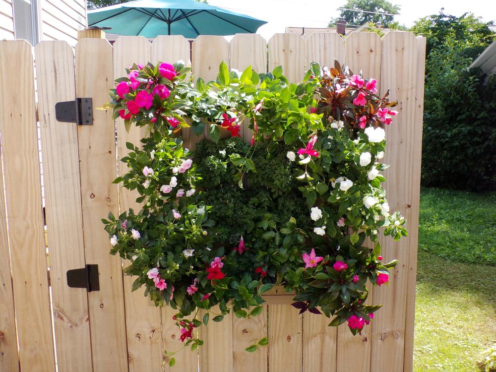 EMSCO GROUP 2490-1 Planter-Window-Box - View #3
