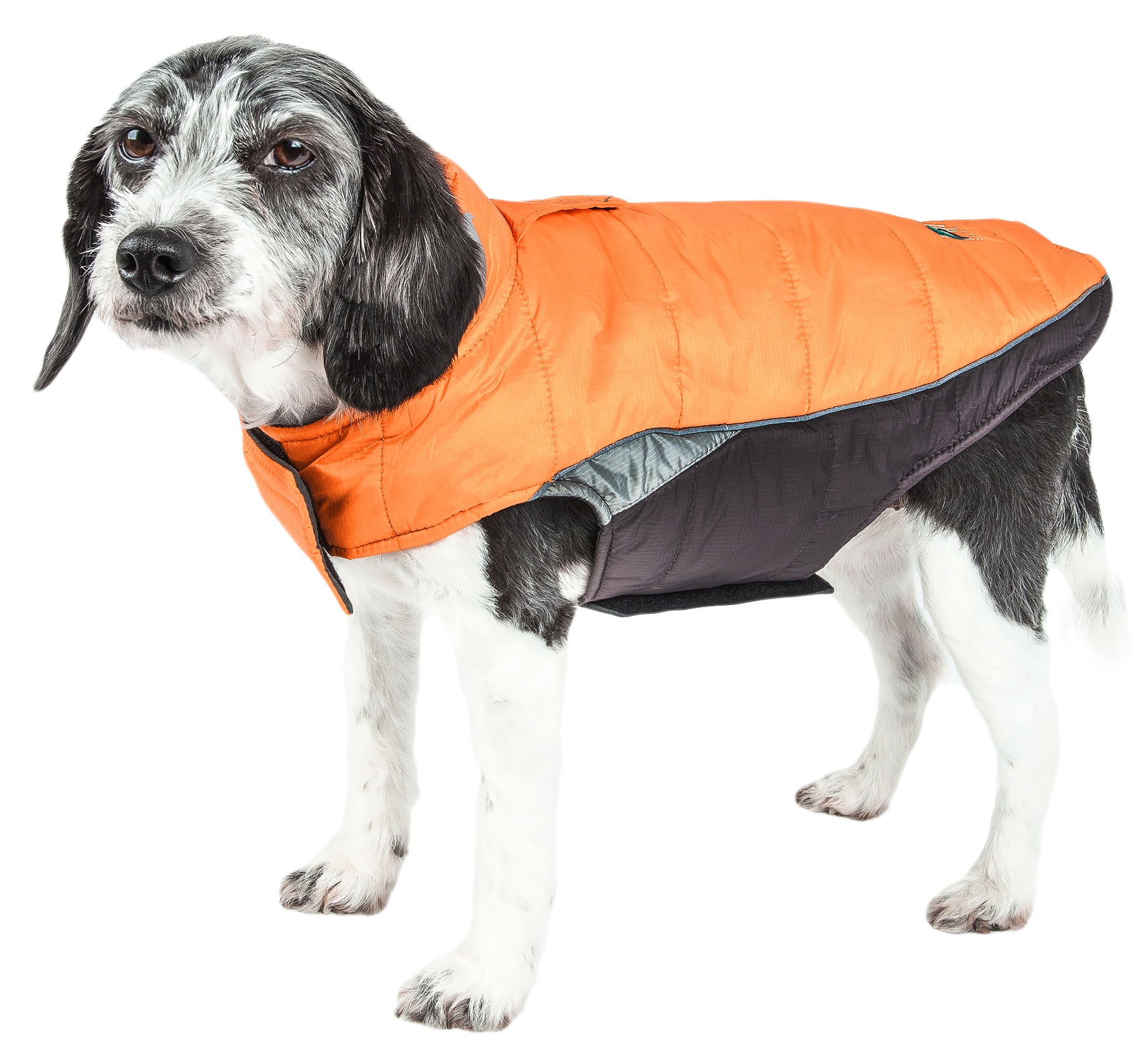 Dog Helios JKHL5ORSM Orange Dog/Cat Pet Coat Small