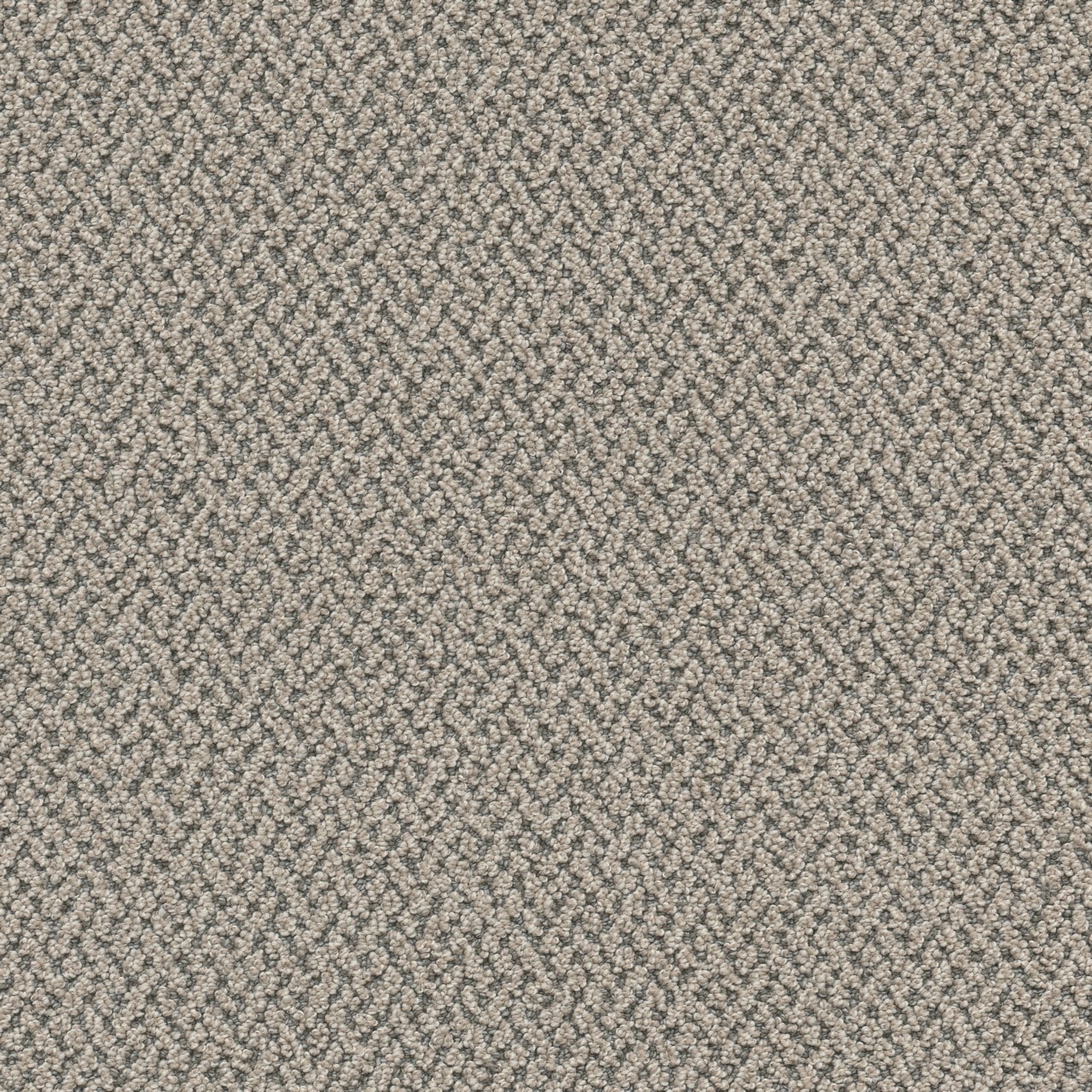 STAINMASTER L5005-3002-0808 (Sample) Harmony Hills Hampshire Gray 35-oz sq yard Solution-dyed polyester Pattern Indoor Carpet