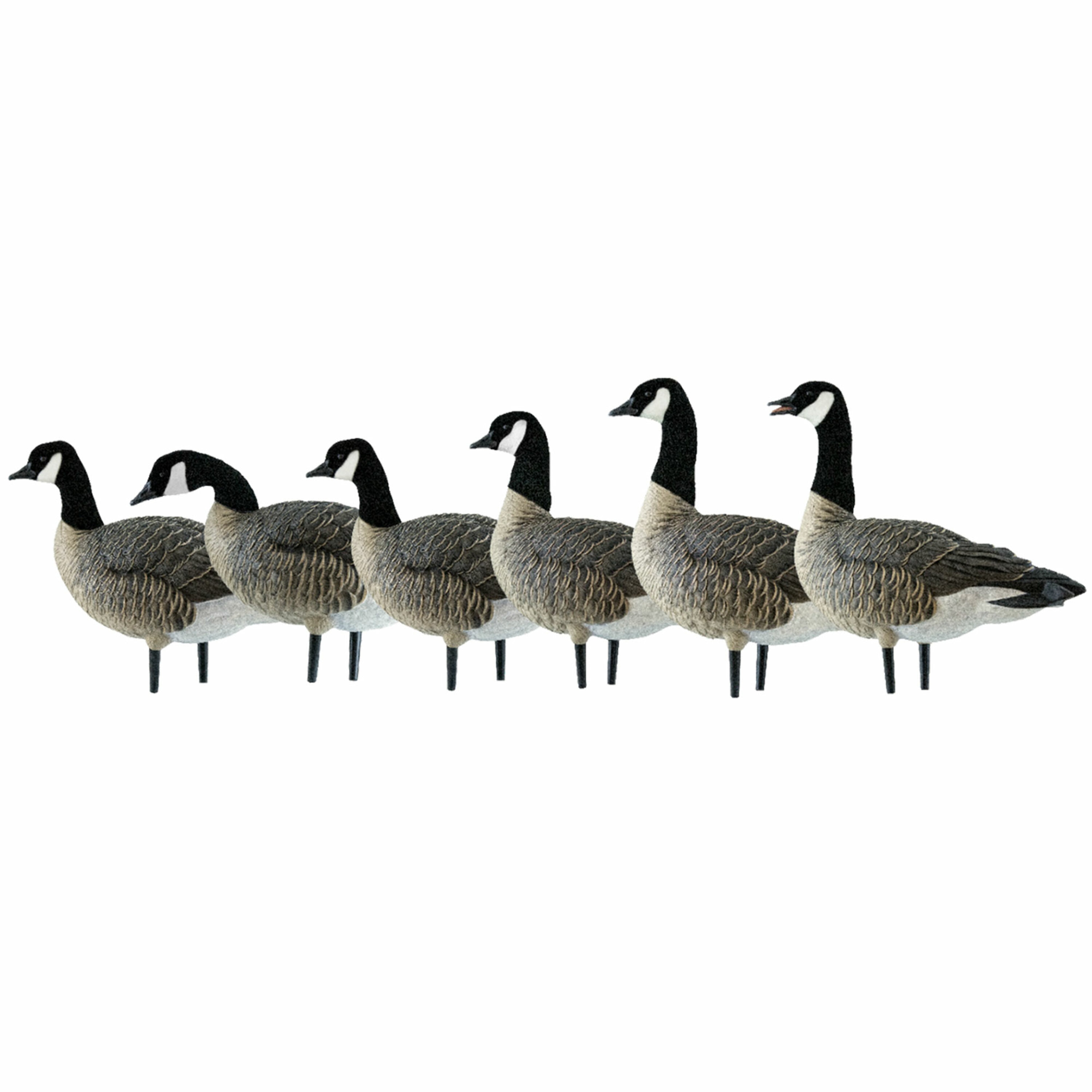  Avian X 399279 28 x 18 x 16 Inche(s) Decoy 6 -Pack