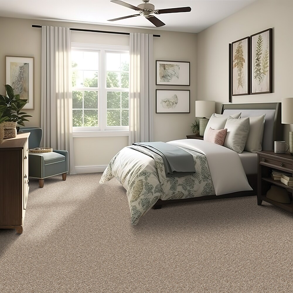 Style Selections SS016-L008-0808 Carpet-Samples - View #2