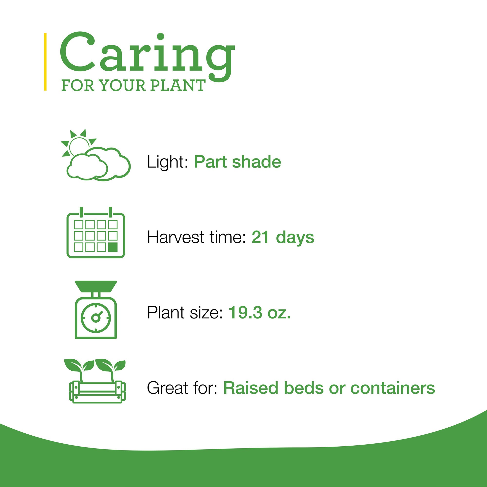 Bonnie Plants 201997 Vegetable-Plants - View #5