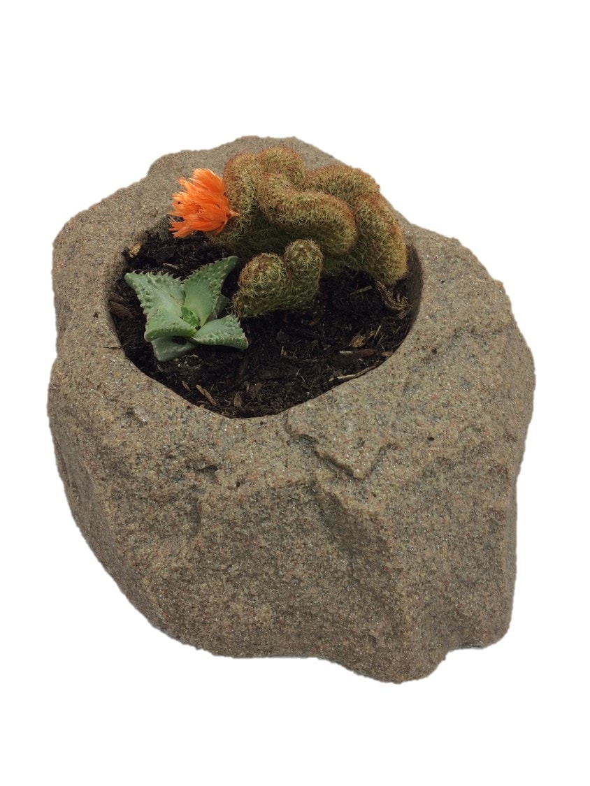 Dekorra 130-RB Planter-Window-Box - View #2
