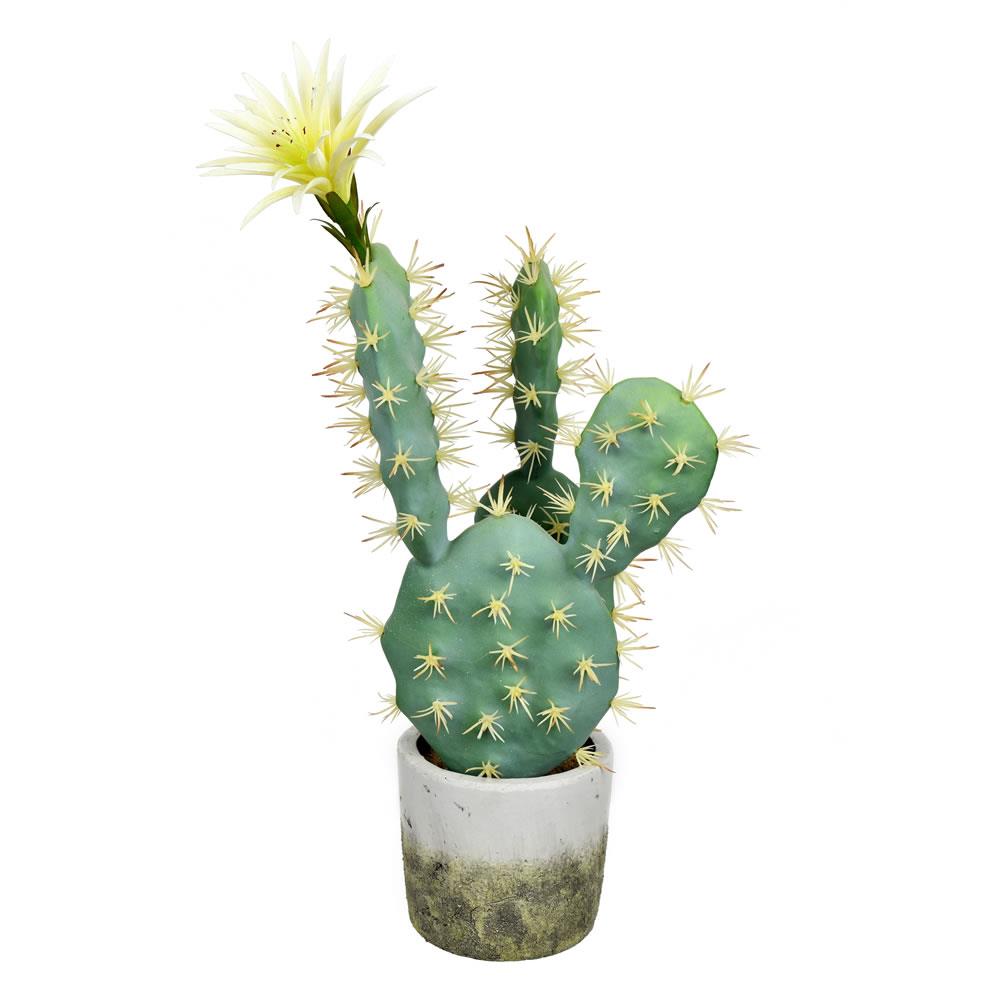 Vickerman FH192501 18-in Green Indoor Succulent Artificial Plant
