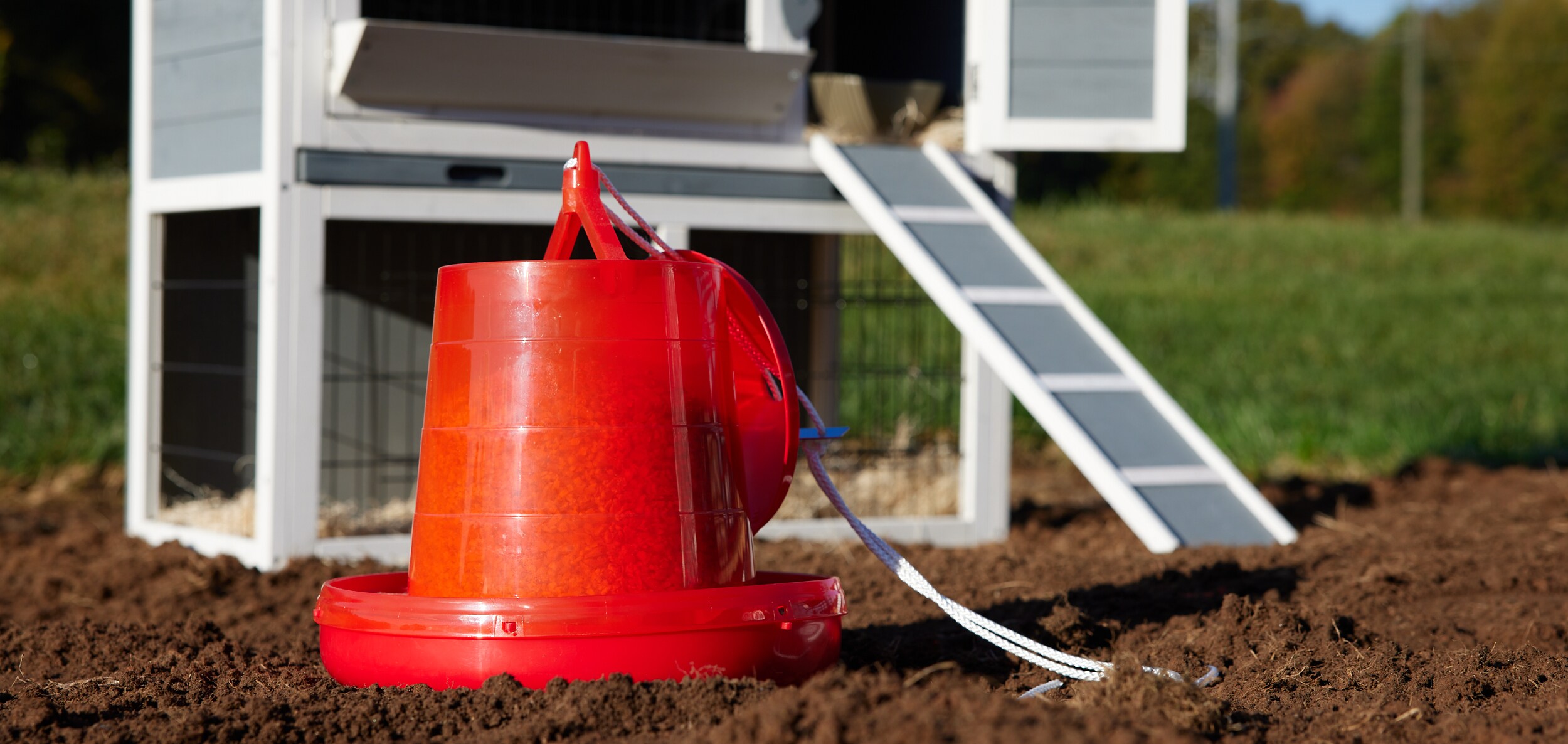 Pecking Order 009667 Farm-Ranch-Feeders - View #4