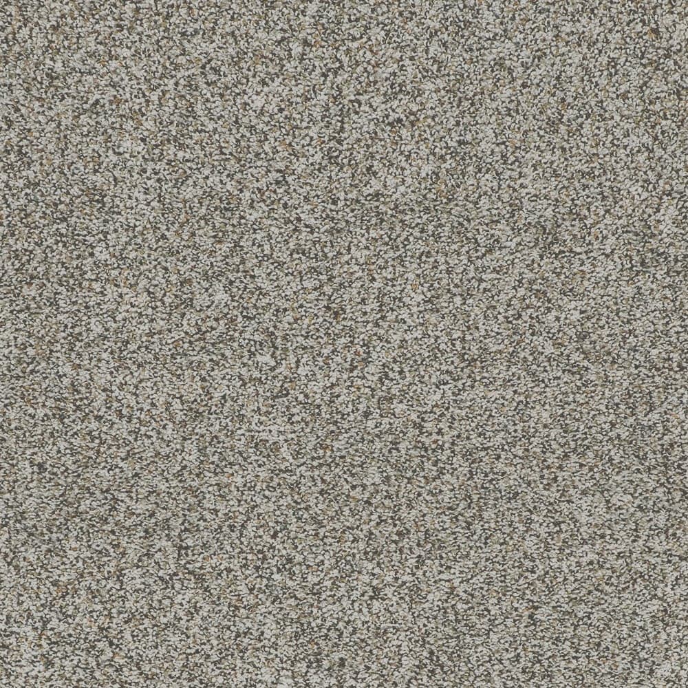 STAINMASTER PetProtect STP46-12-L008 Pet Peeve Homage Gray 60-oz sq yard Triexta Textured Indoor Carpet