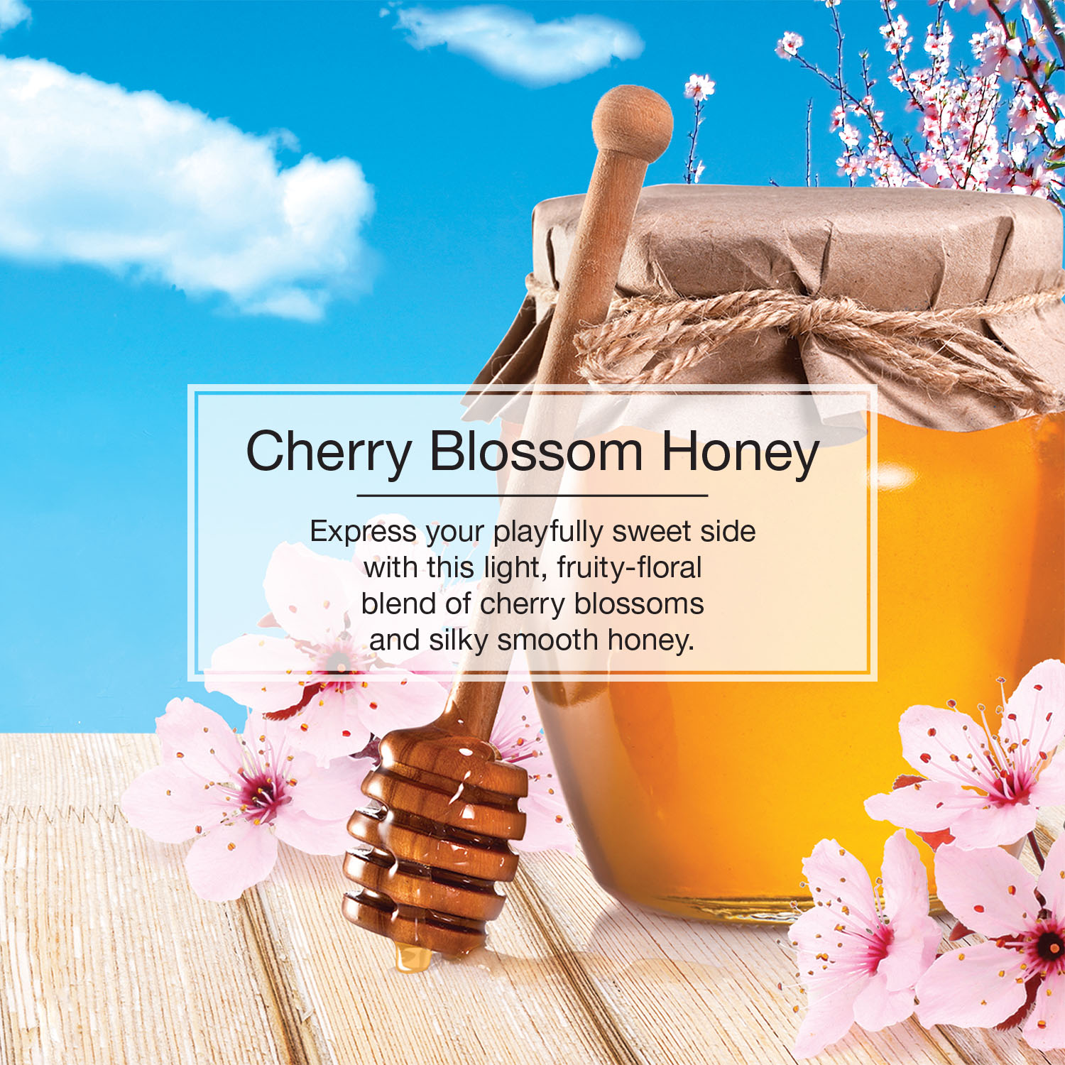 LITTLE TREES 3-Count Cherry Blossom Honey Dispenser Air Freshener (3-Pack)  in the Air Fresheners department at