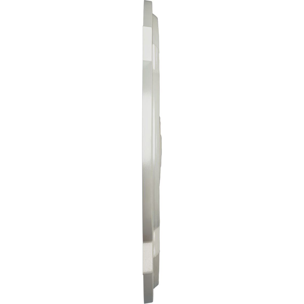 Ekena Millwork CM21WAFBS Ceiling-Medallions - View #3