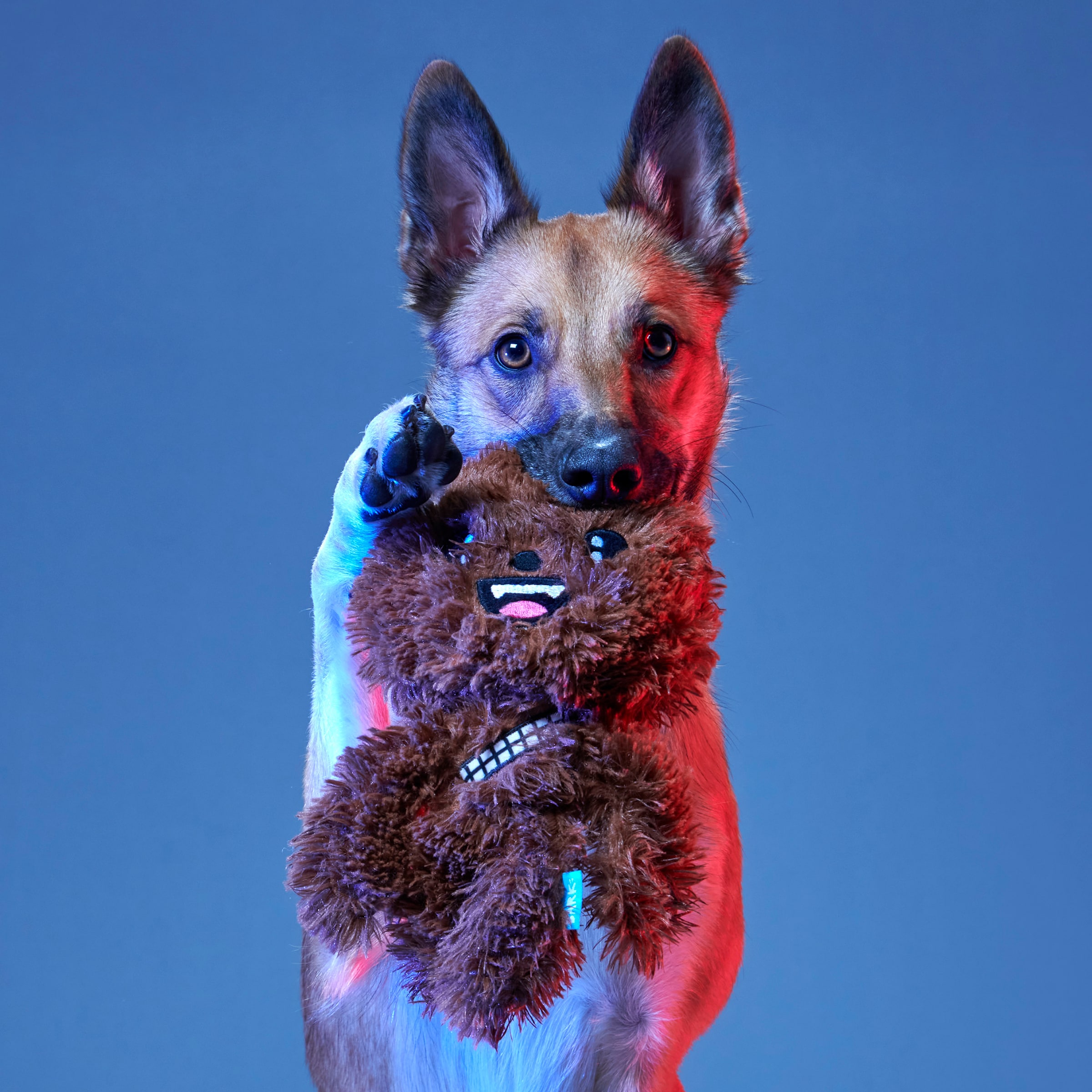 BARK 214200 Dog-Toys - View #4