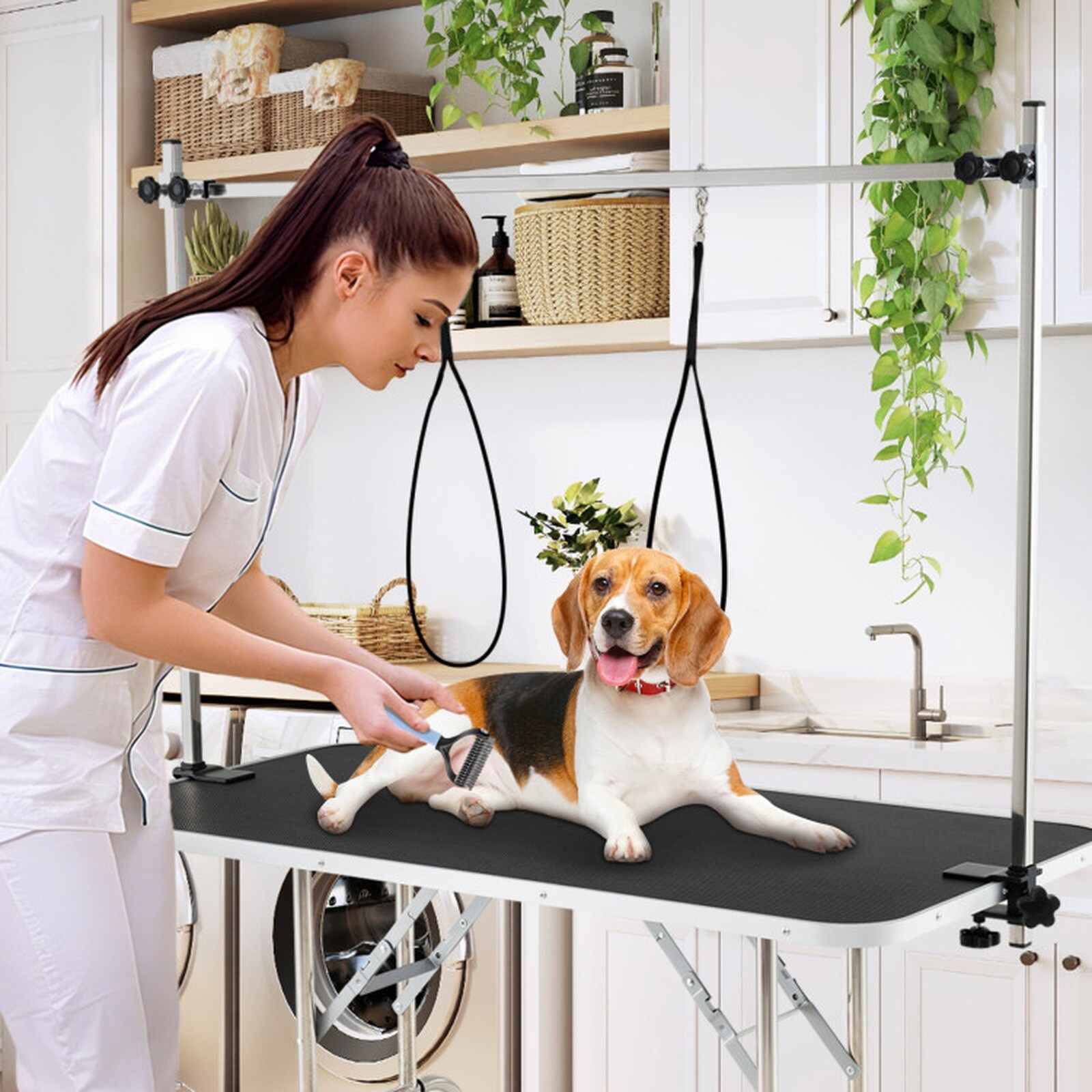SUGIFT LW038SUGHY534 Pet-Grooming-Supplies - View #10