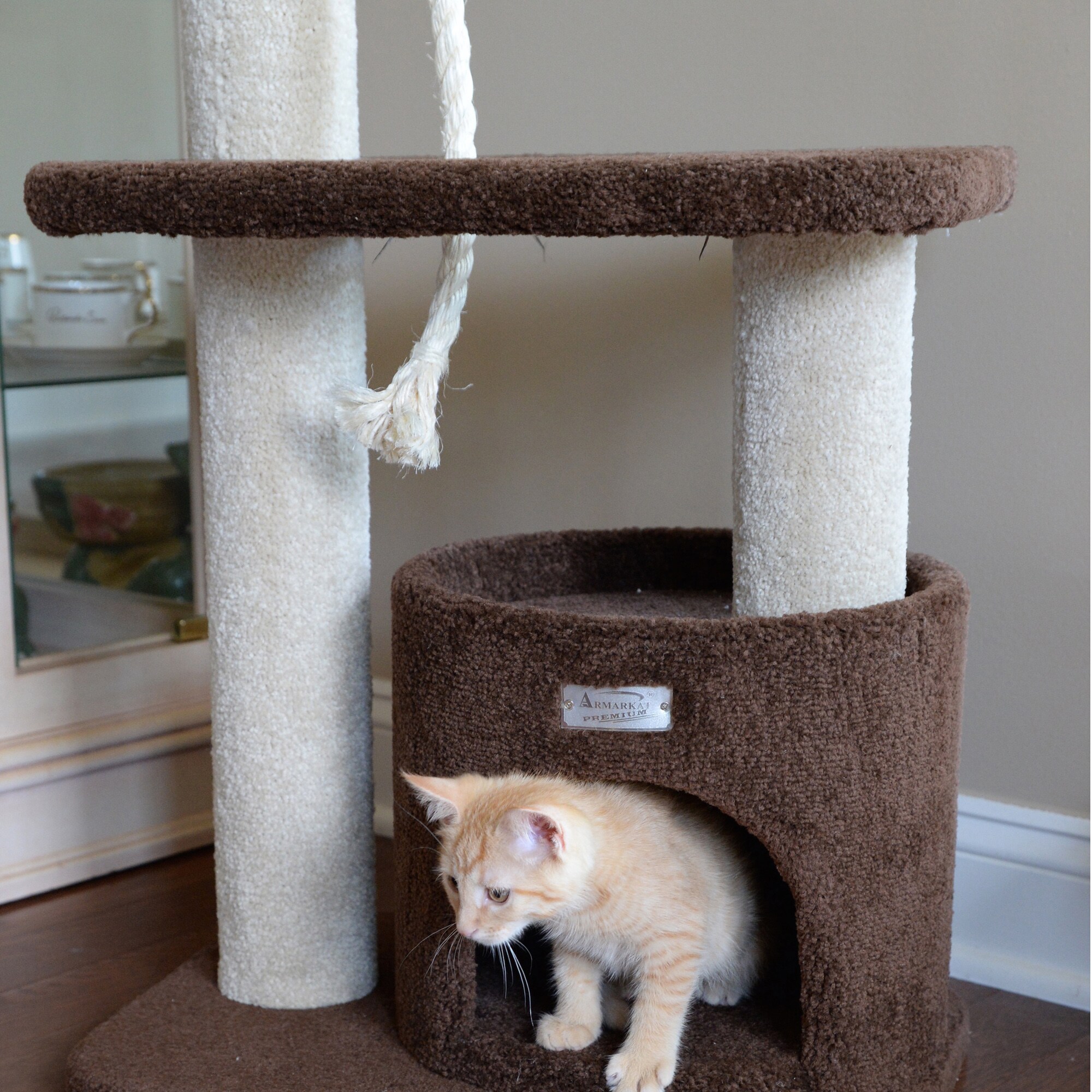 Armarkat 37-in x 16-in Brown Carpet Cat House in the Cat Trees ...