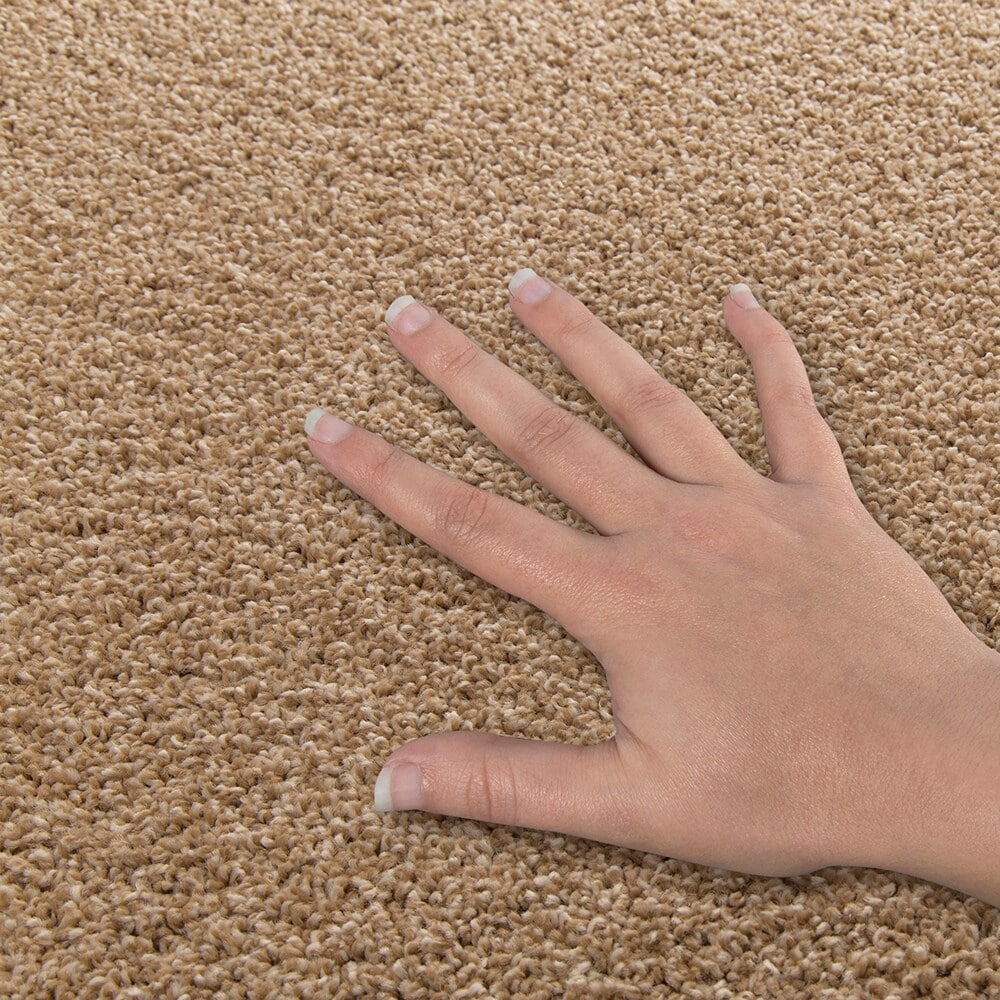 STAINMASTER SS011-L002-0808 Carpet-Samples - View #4