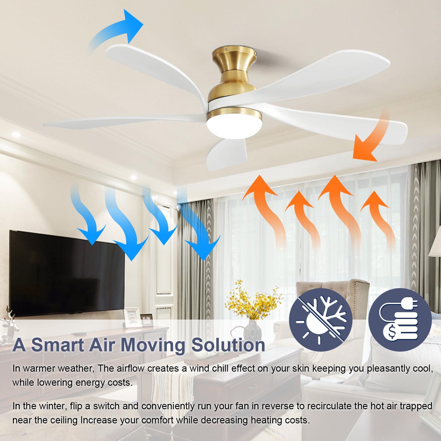 Bayfeve BFYH-39019-CF Ceiling-Fans - View #7